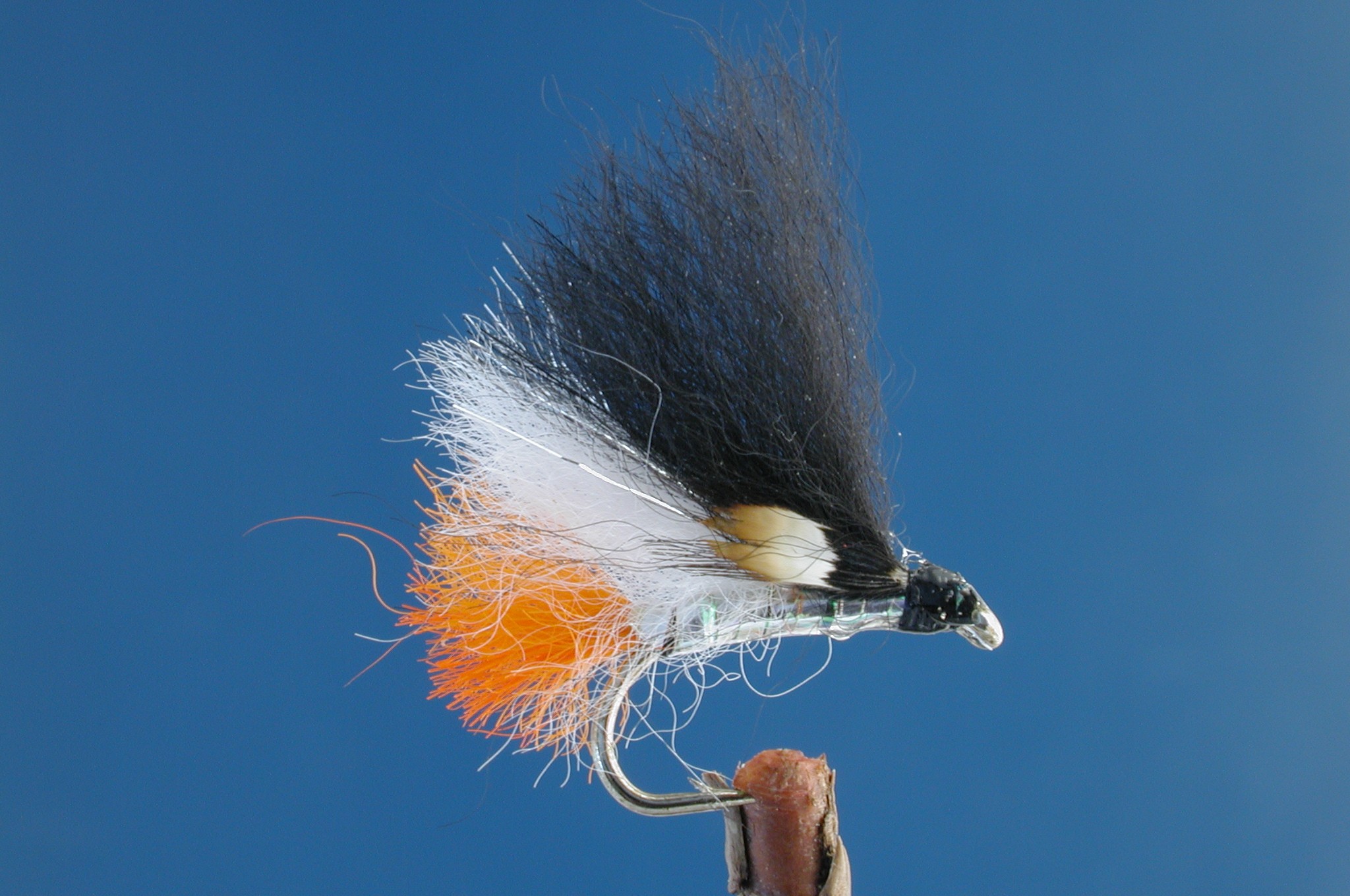 Black, White and Orange Siren