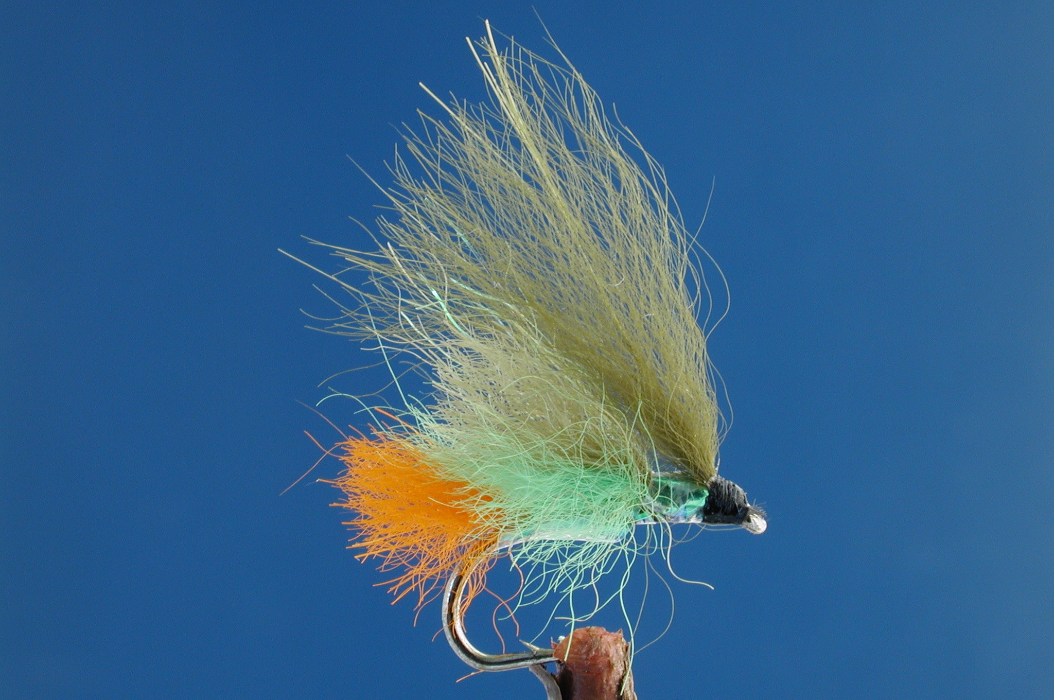 Mixed Olive Siren