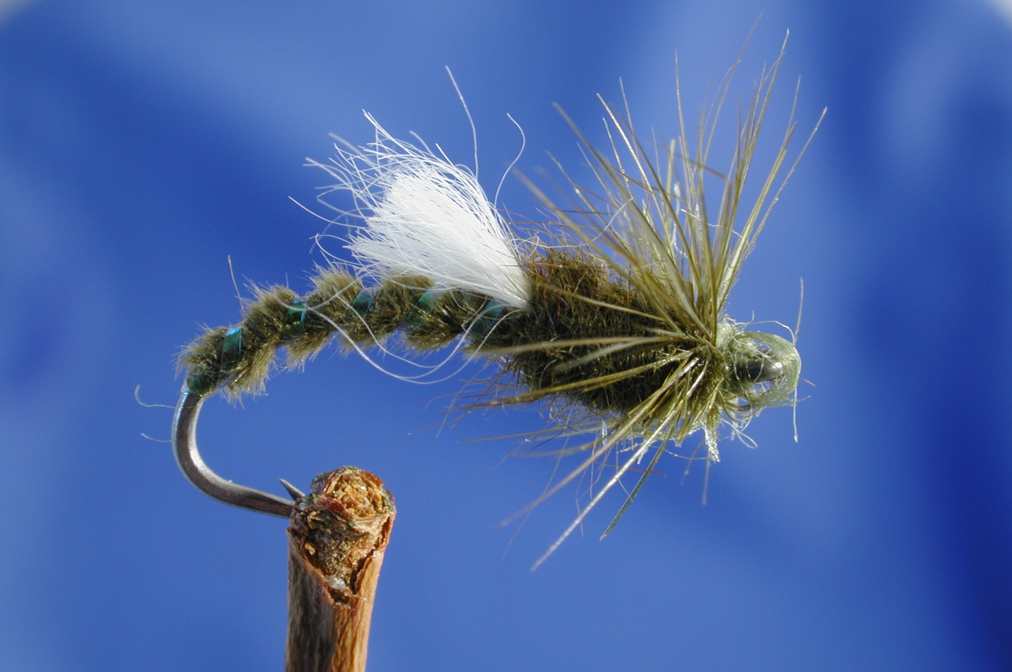 Emerging Buzzer