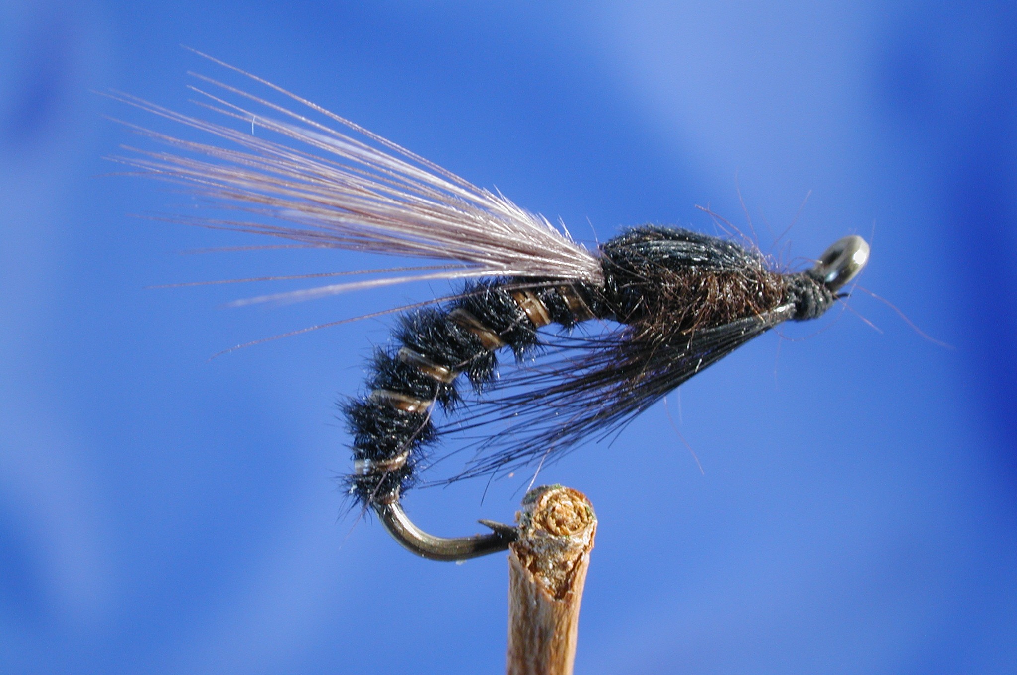 Adult Black Buzzer