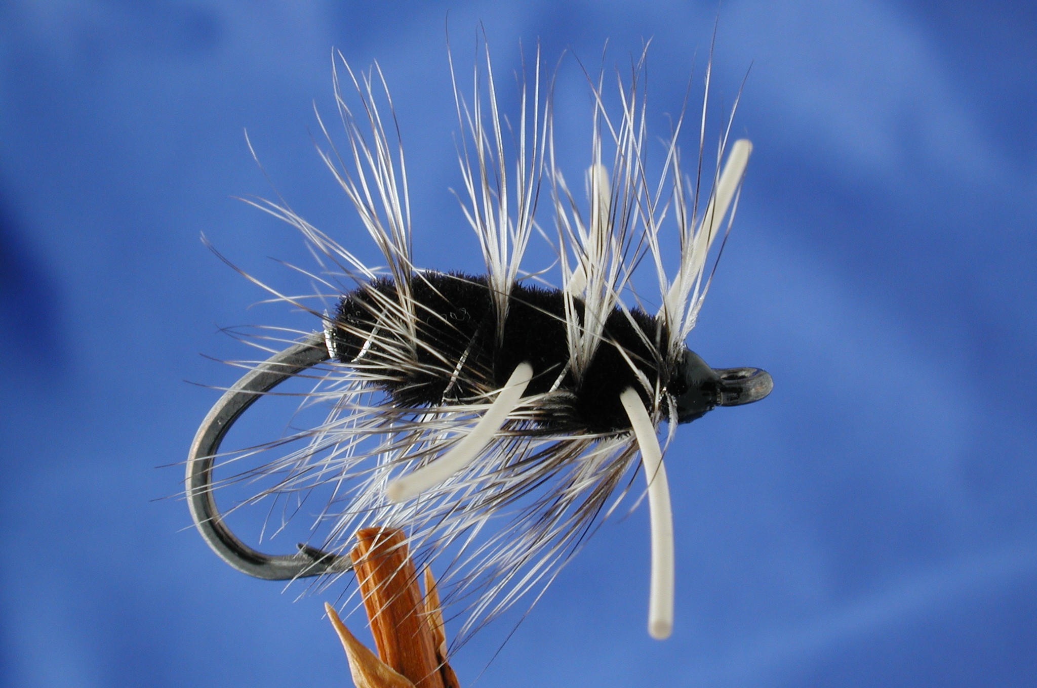 Grizzled Yuk Bug