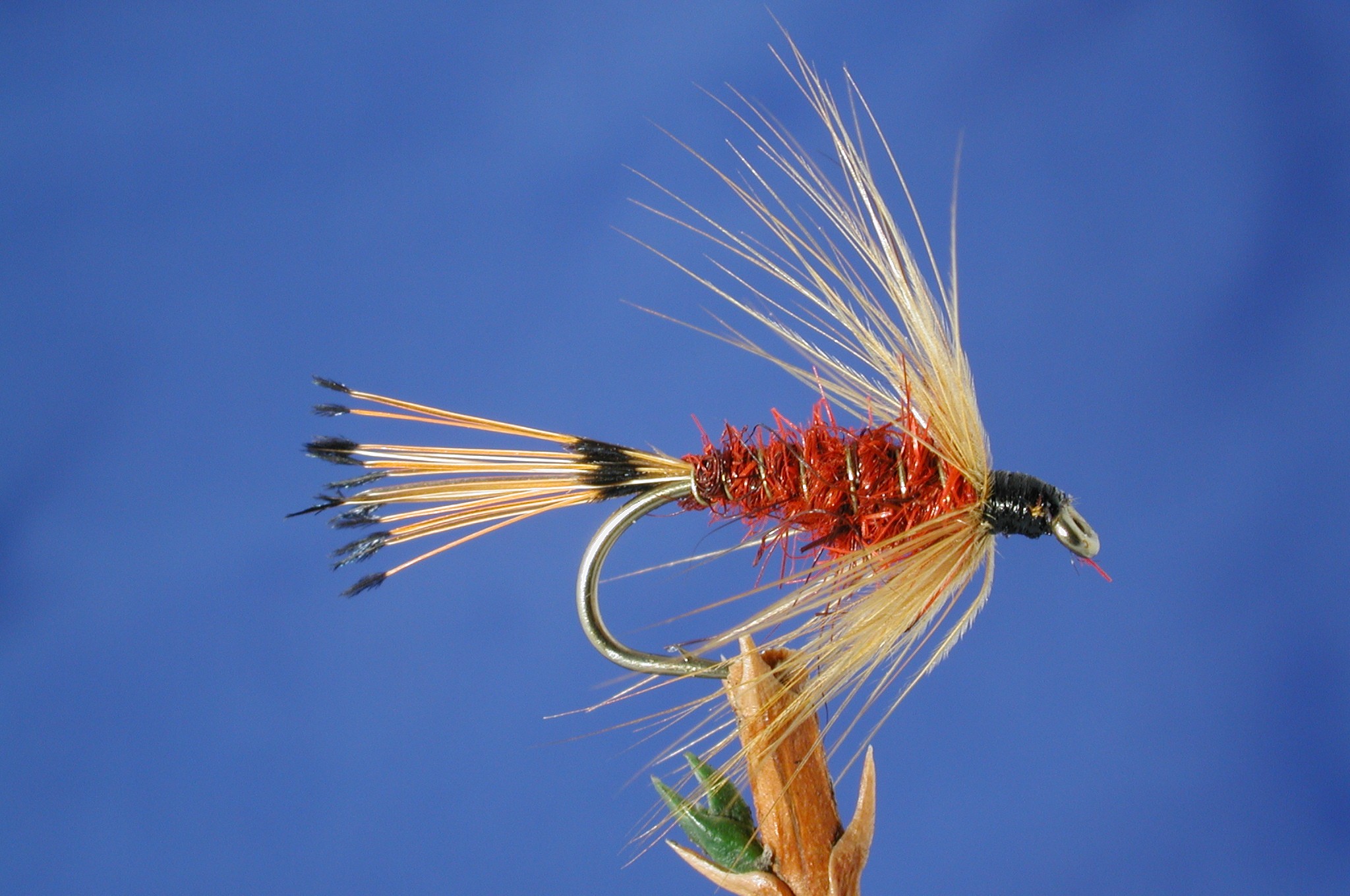 Red and Tippet