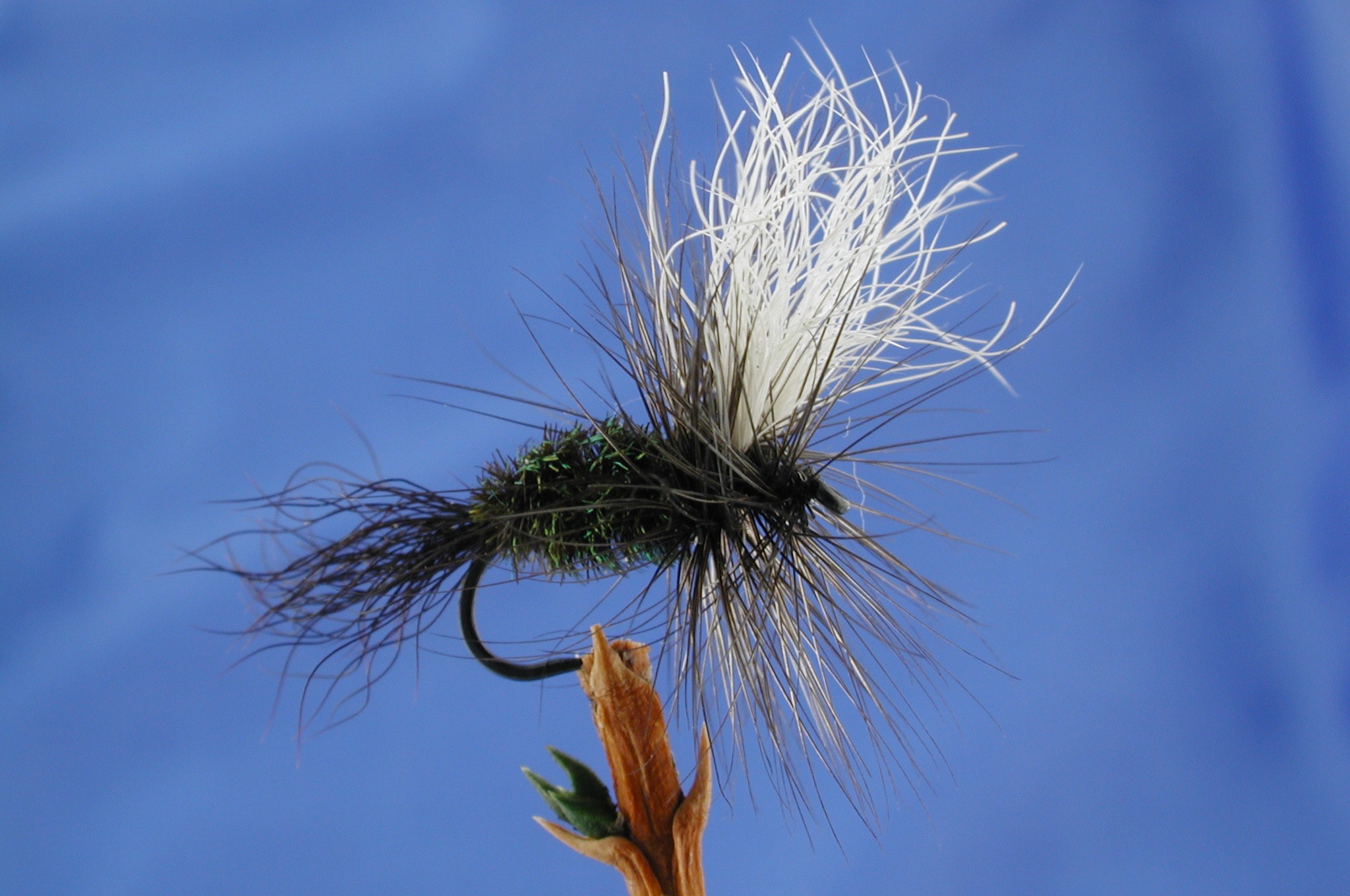 Pea and White