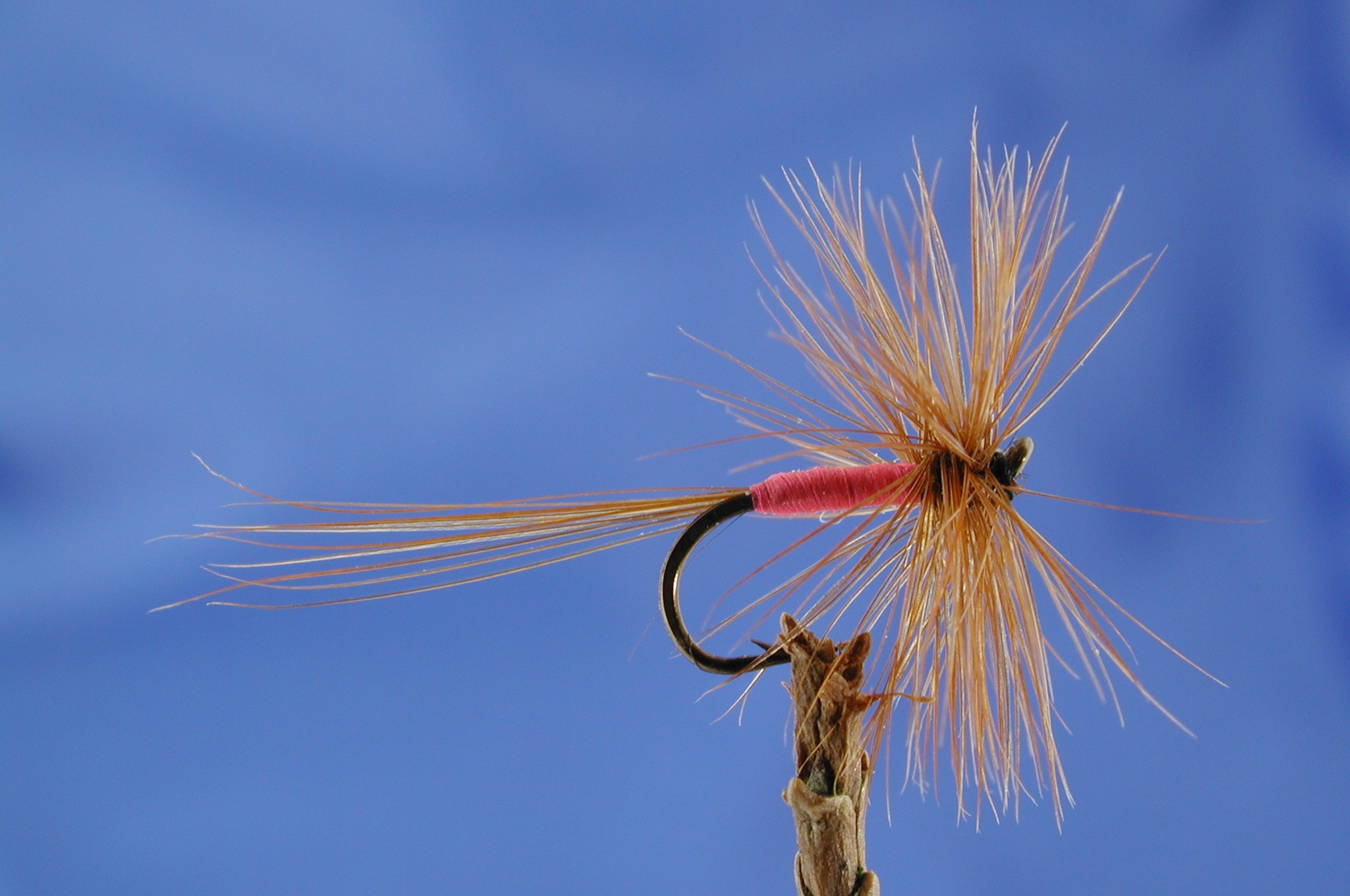 Slim Pink