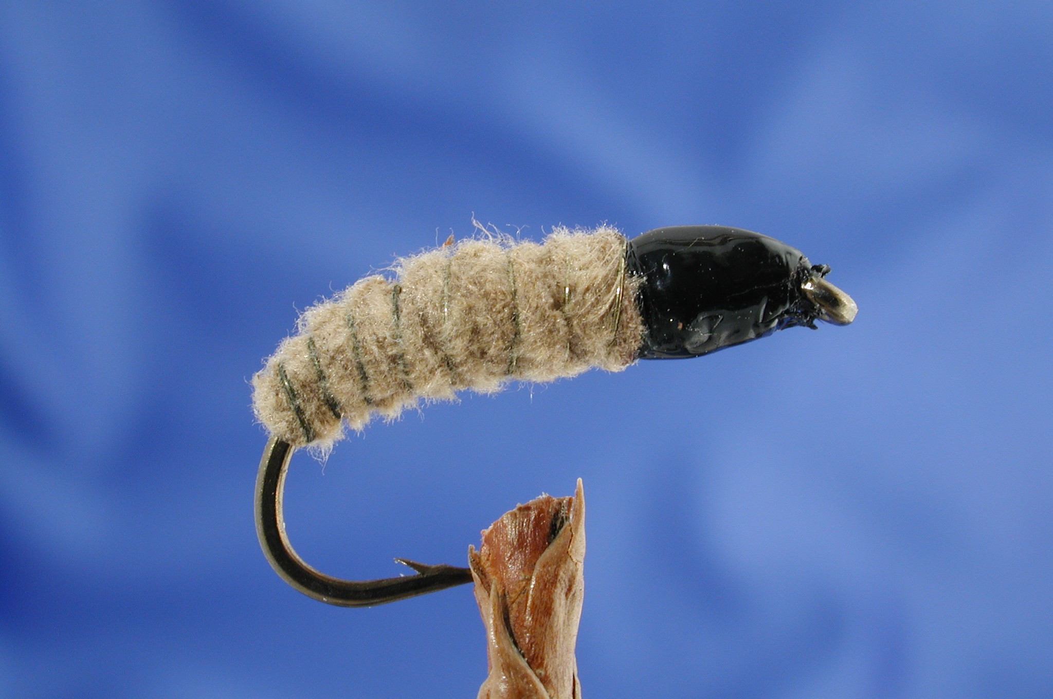 Suede Nymph