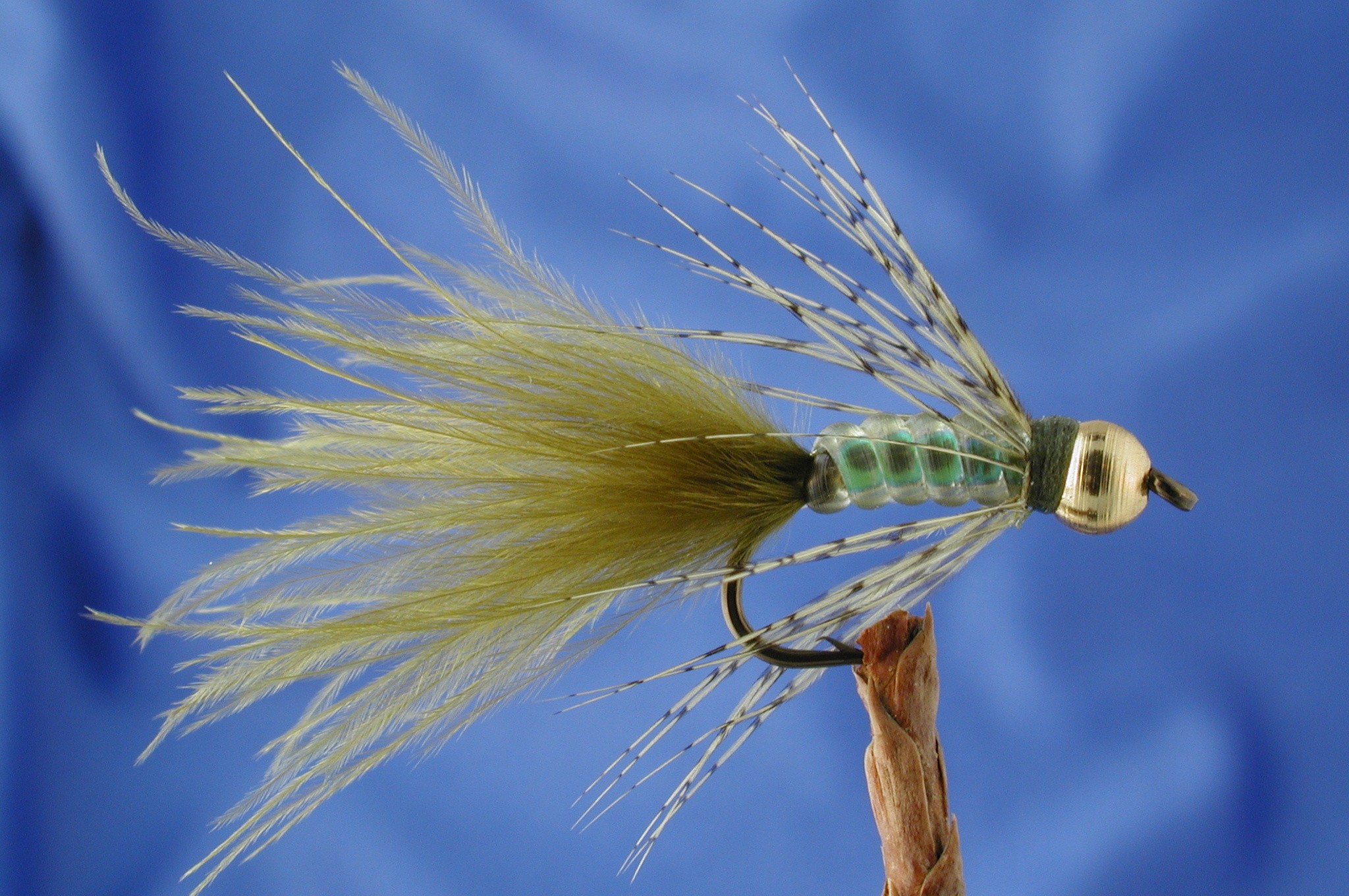 Gold Head Damsel