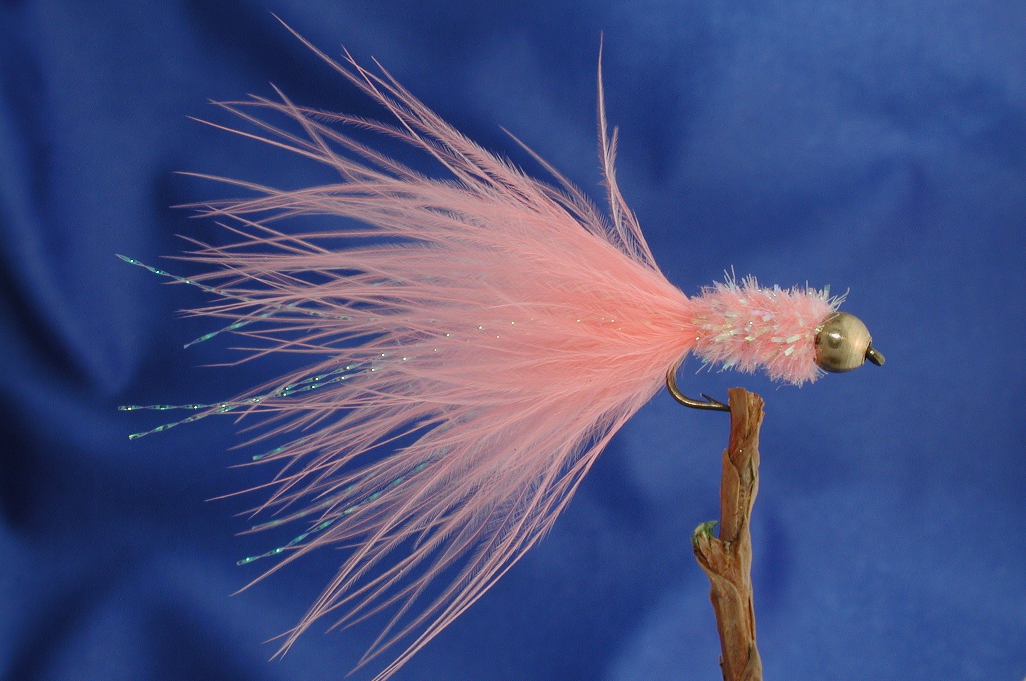 Coral Gold Head