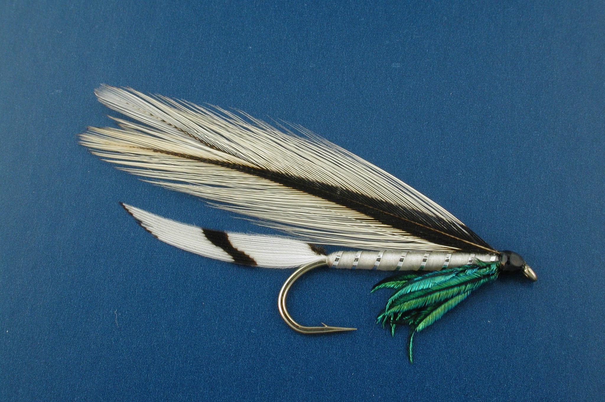 Silver Darter