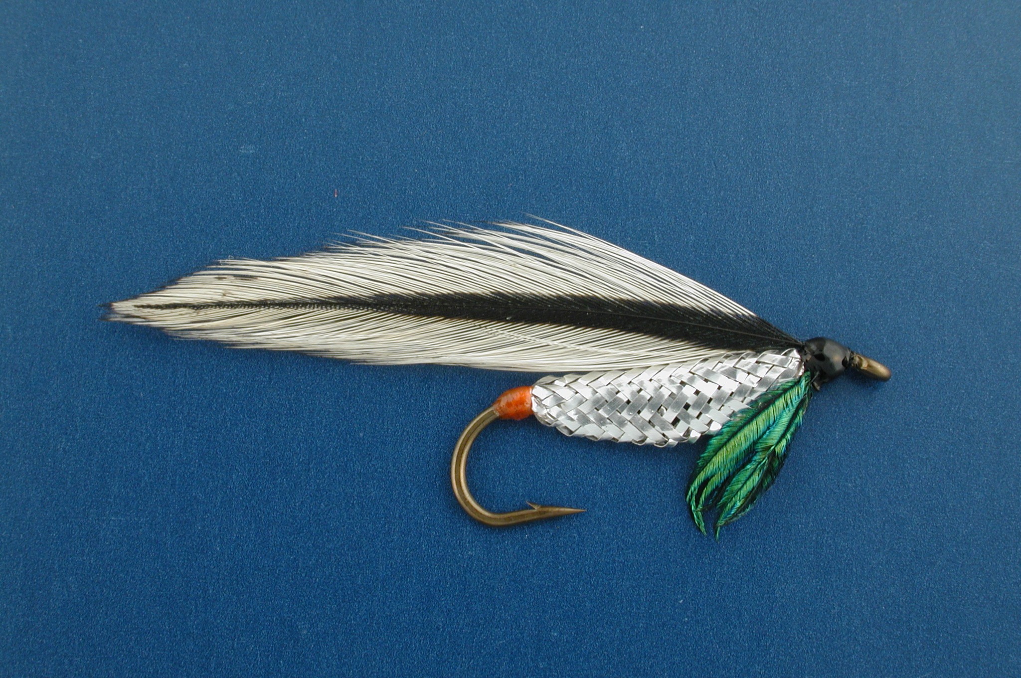 Silver Darter