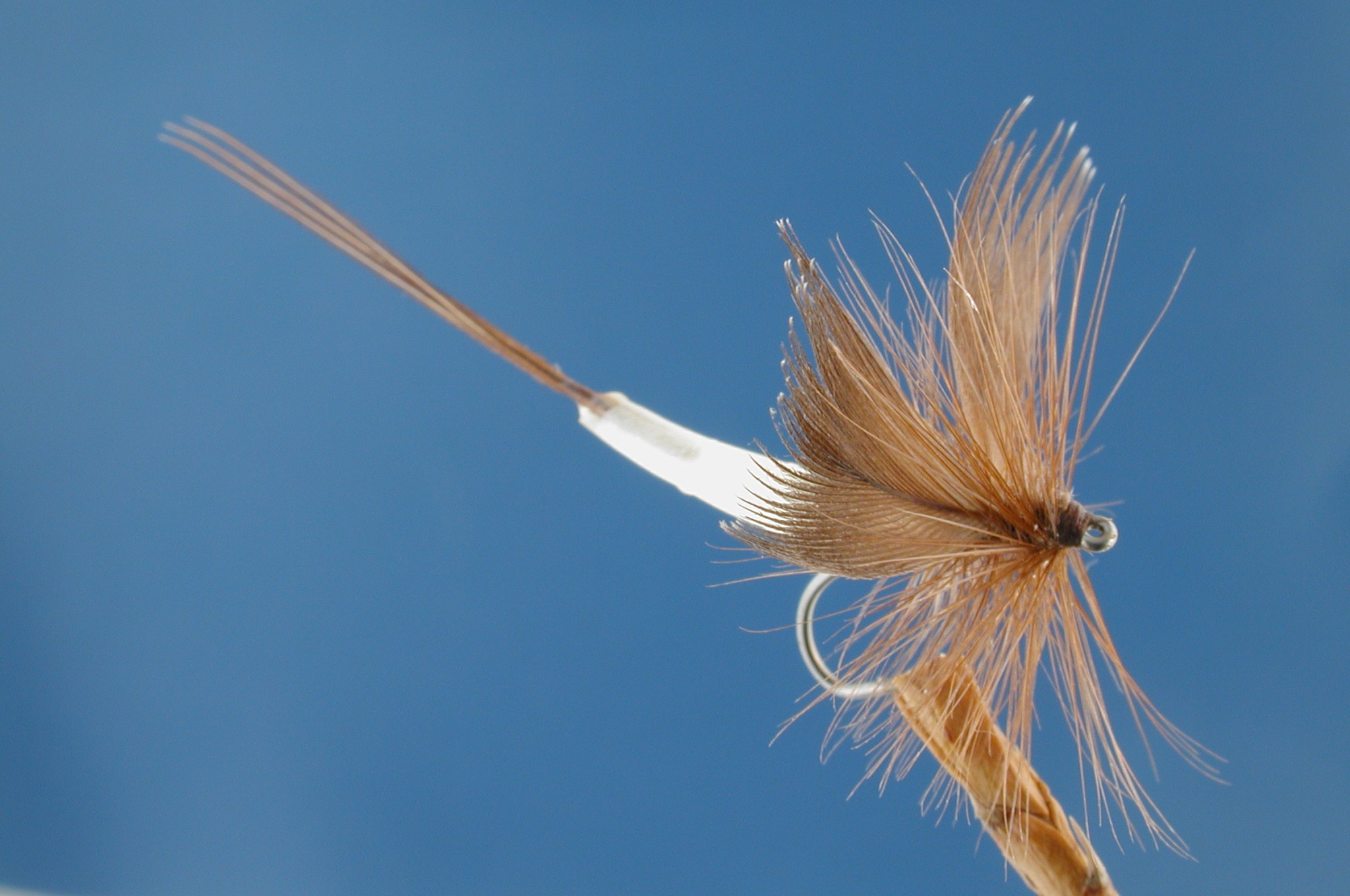 Detached Body Mayfly Brown