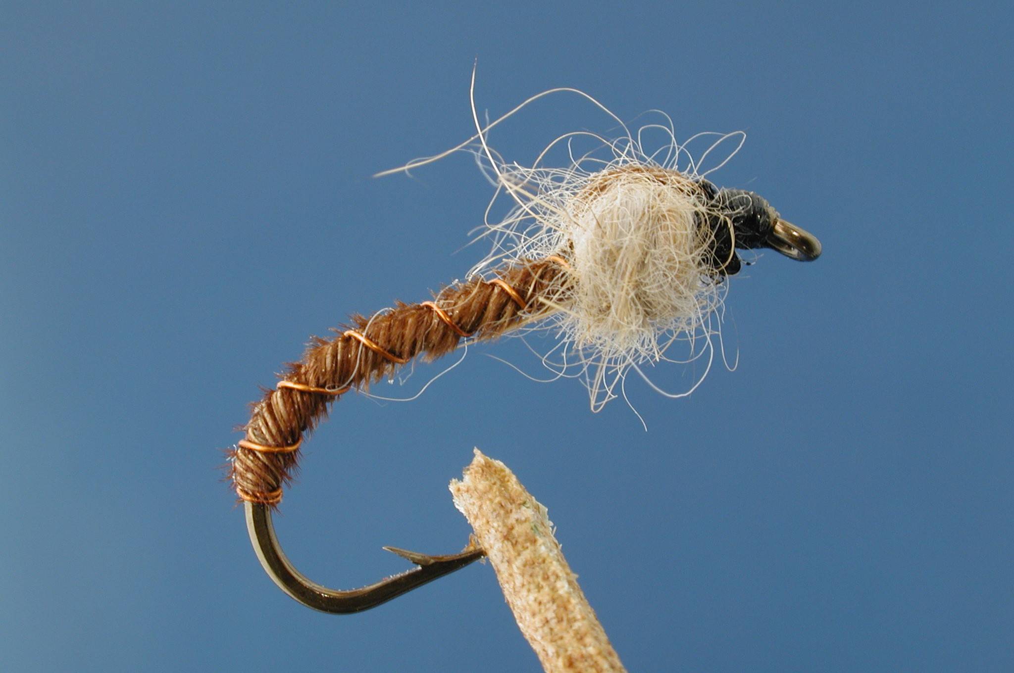 Cove Nymph