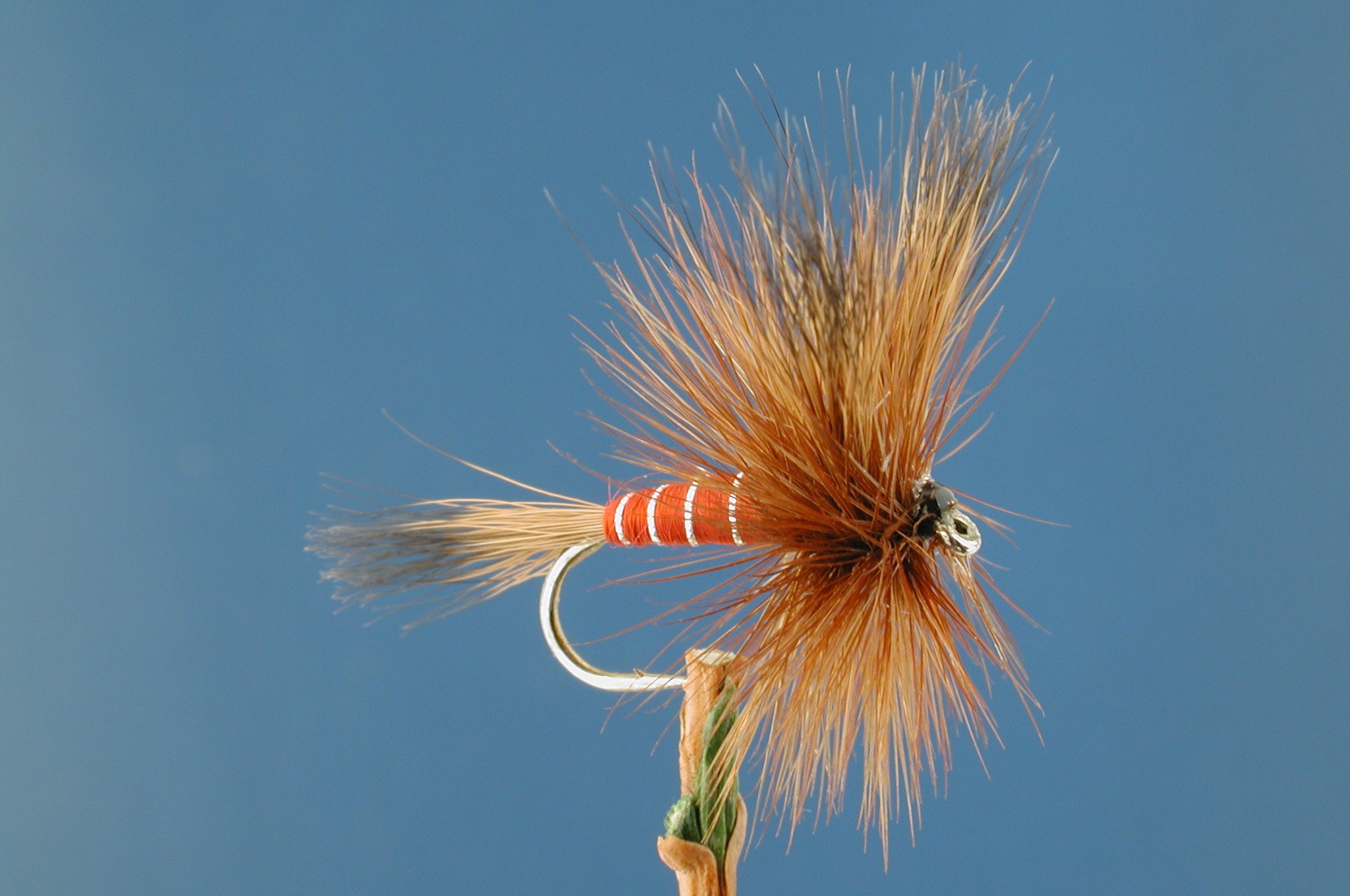Red Wulff