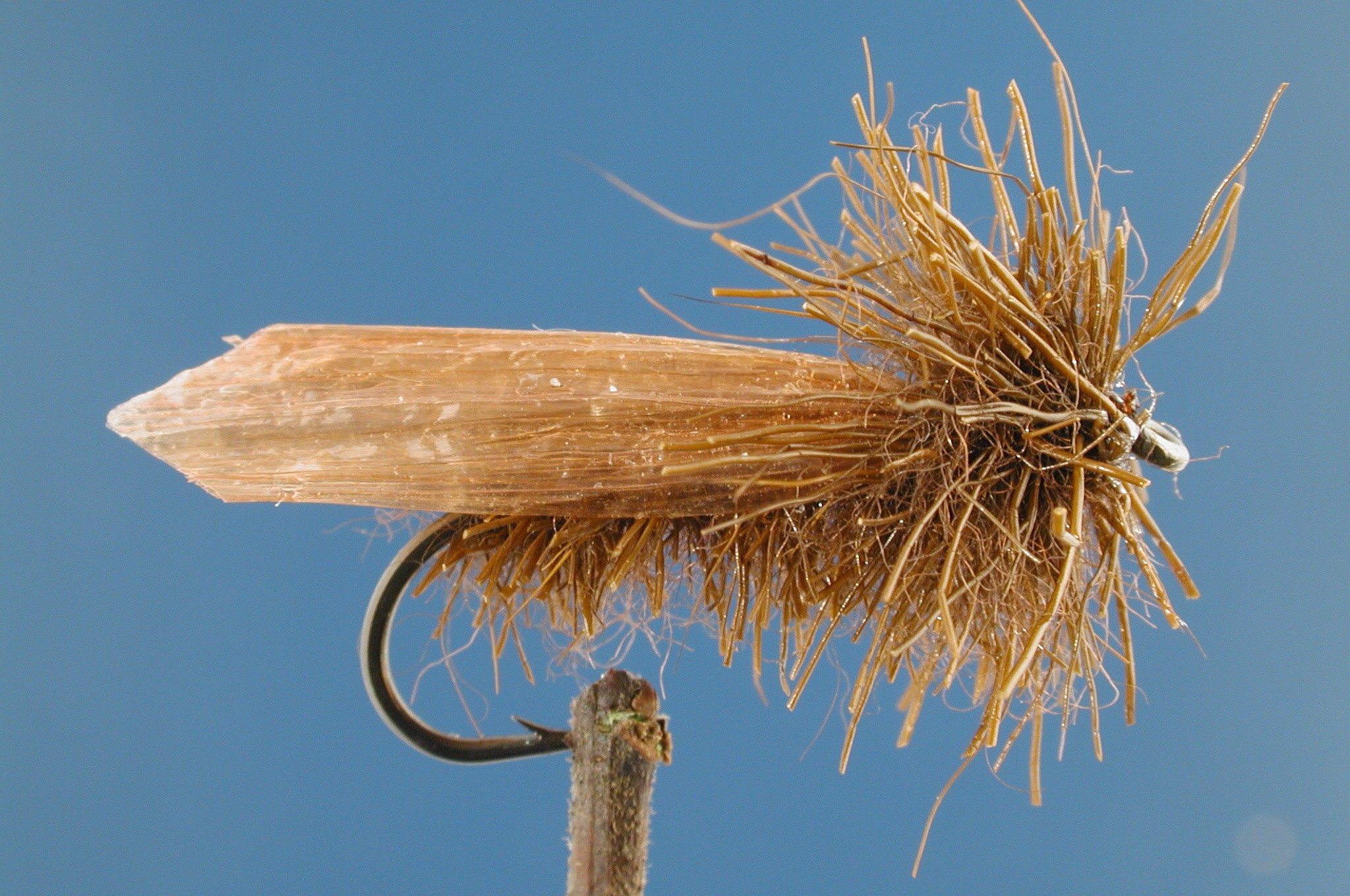 Moser Caddis