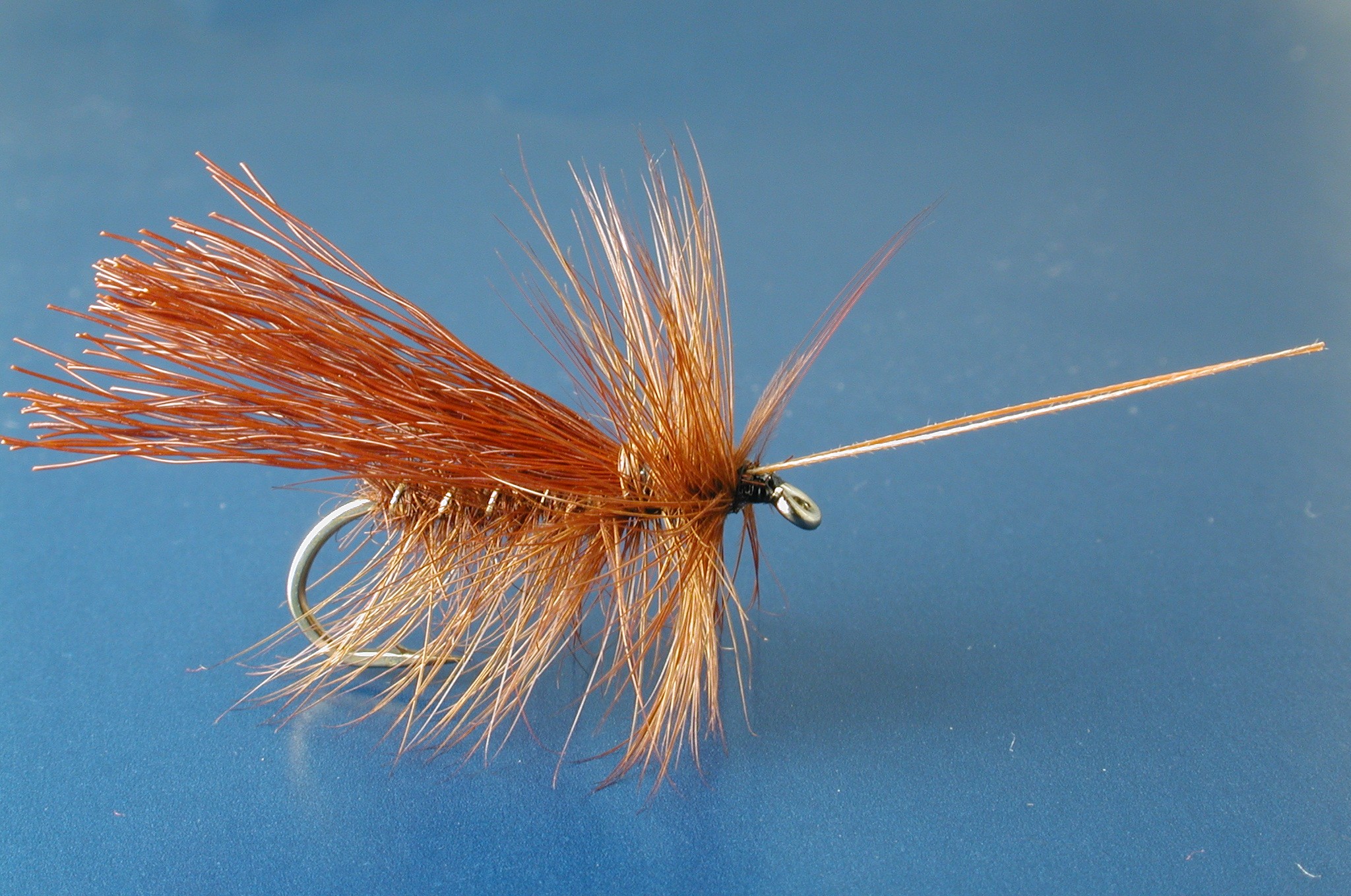 Murrough, Bucktail