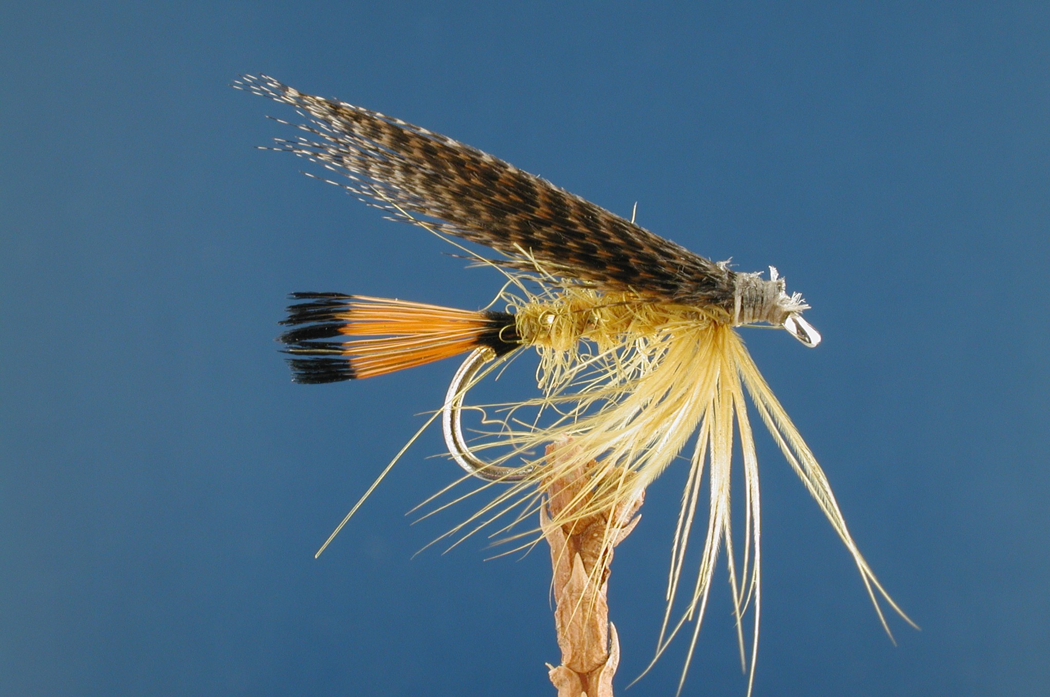 Golden Olive