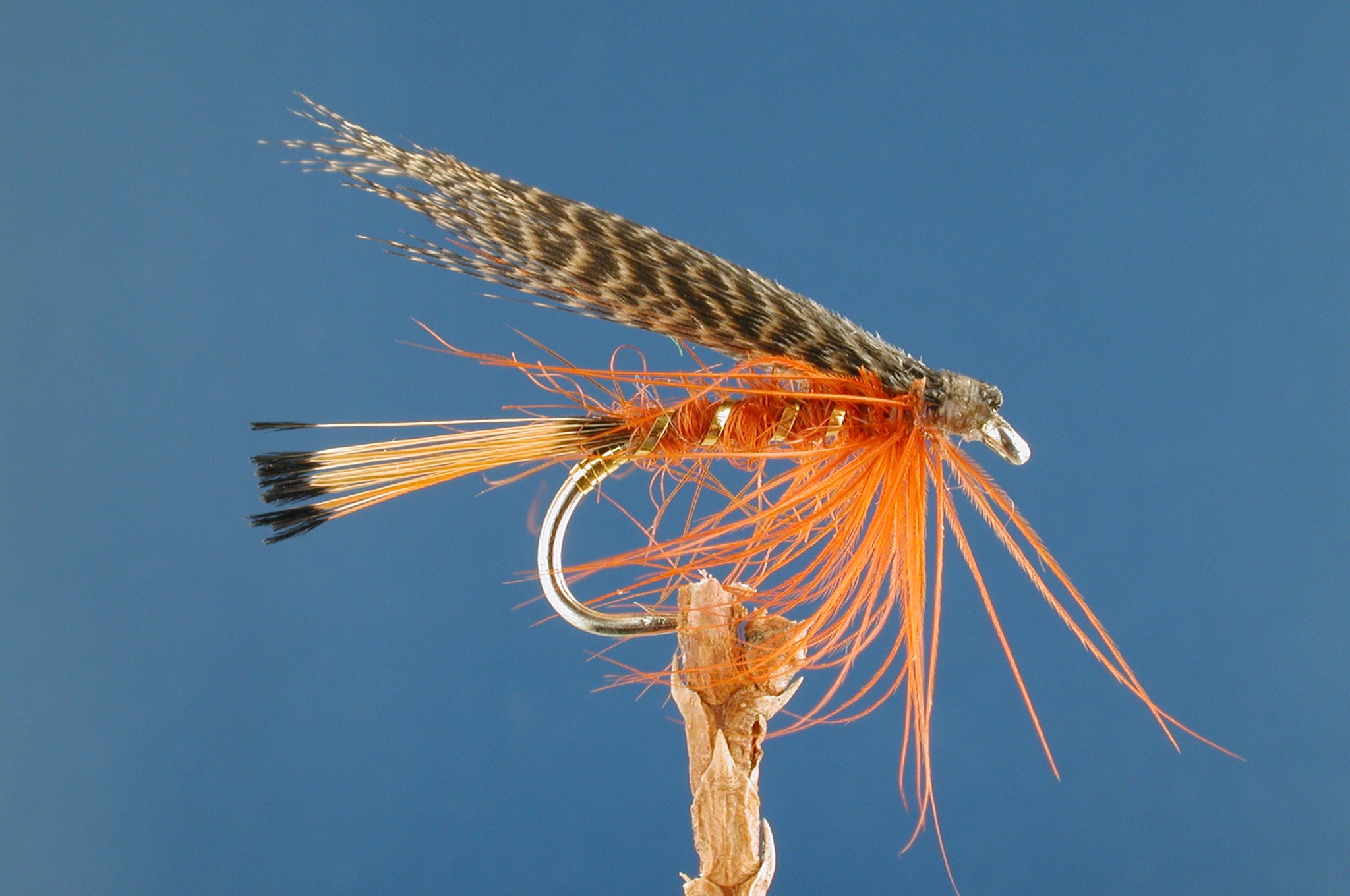 Fiery Brown