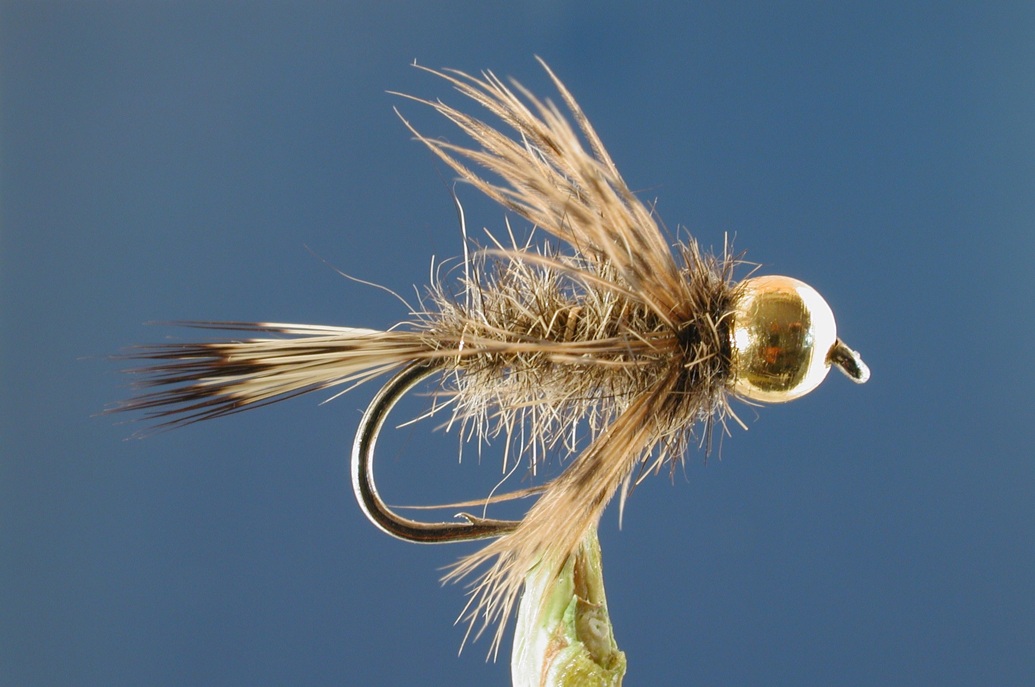 Shaggy Hares Ear GH