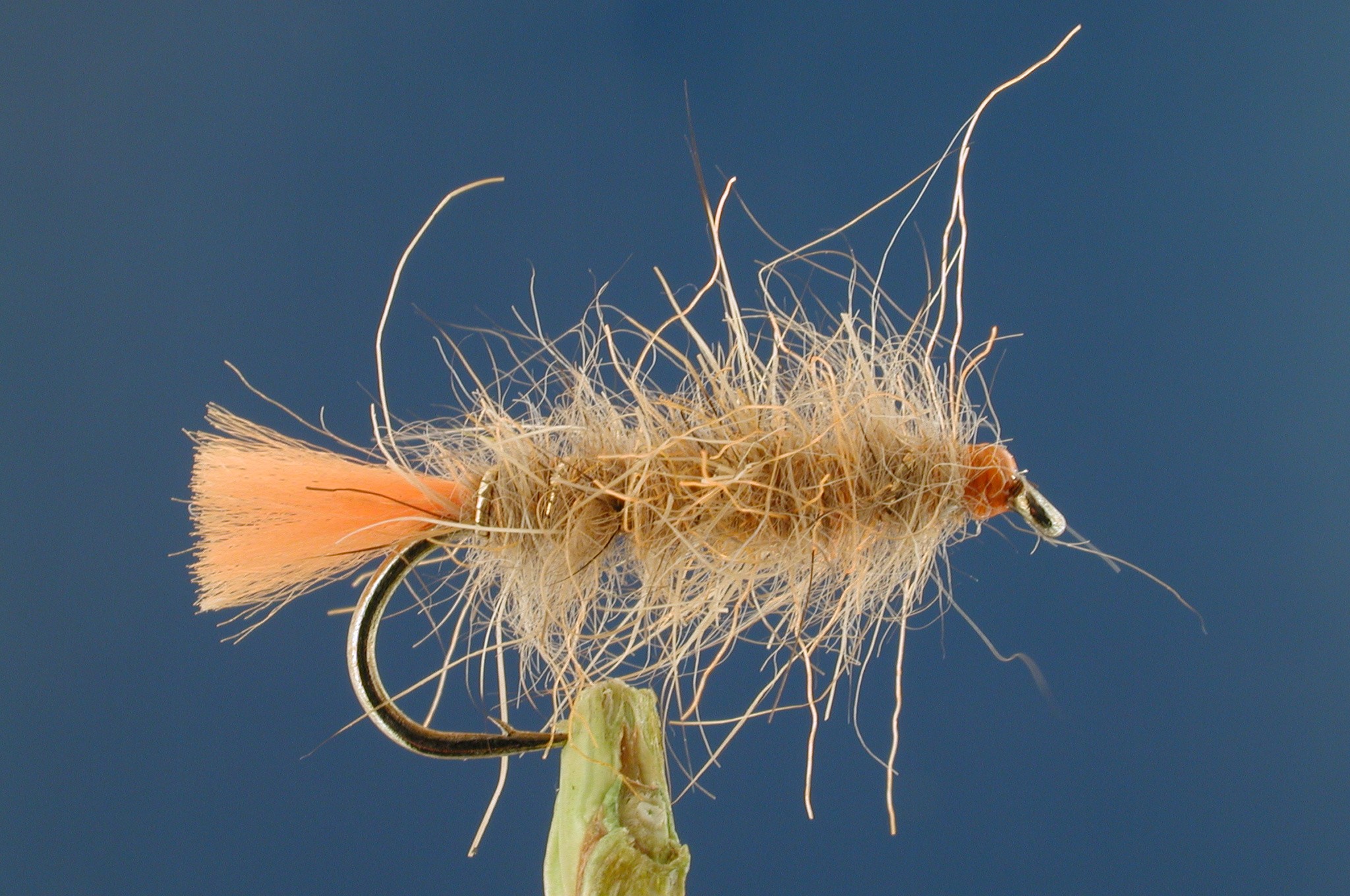 Orange GRHE Nymph