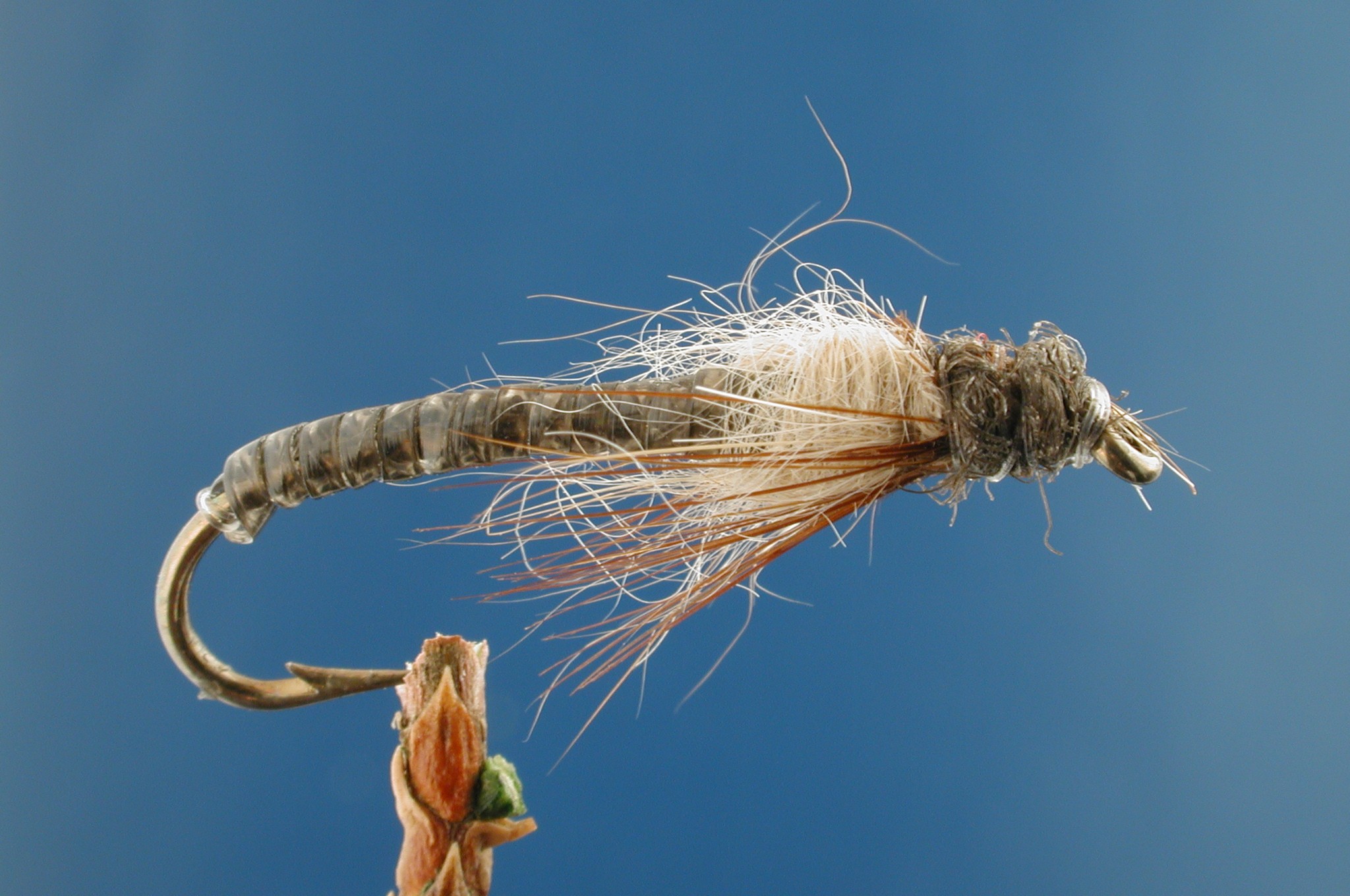 Caddis Crawler