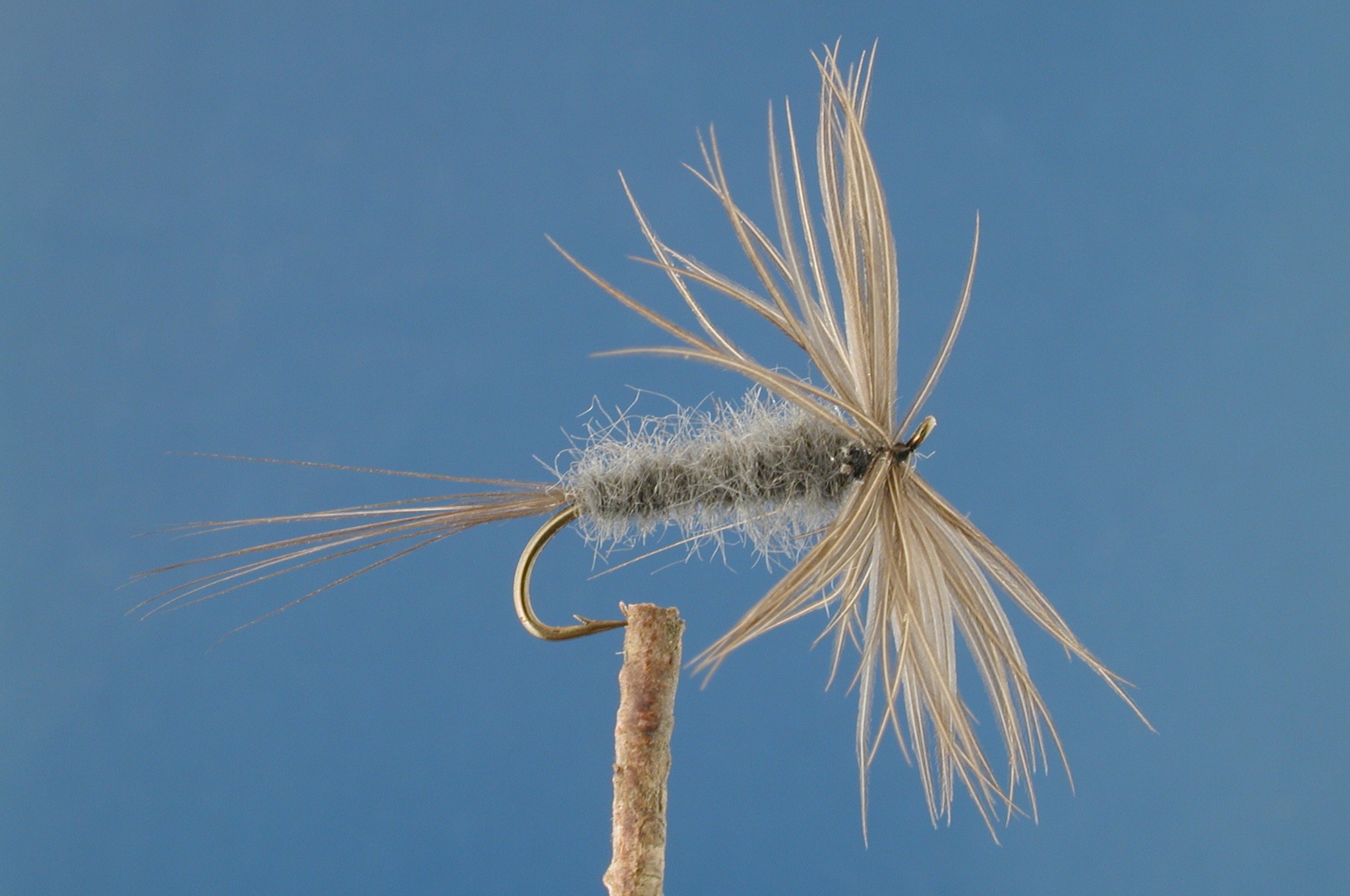 Iron Blue Flymph