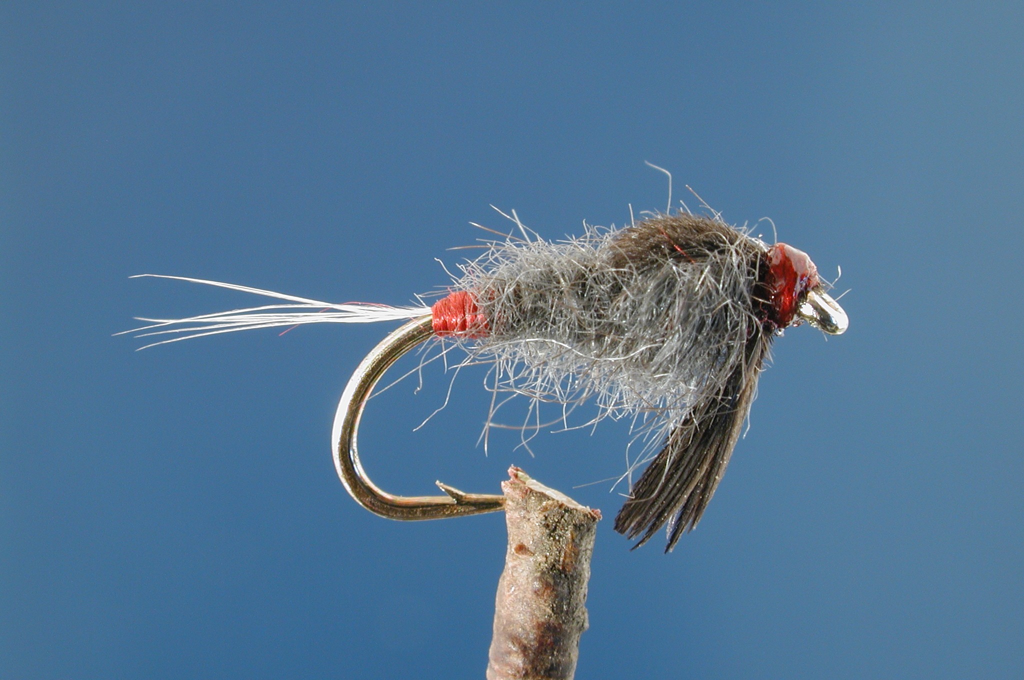 Iron Blue Nymph