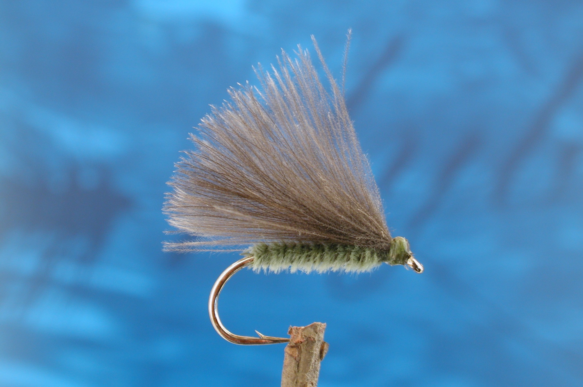 F Fly