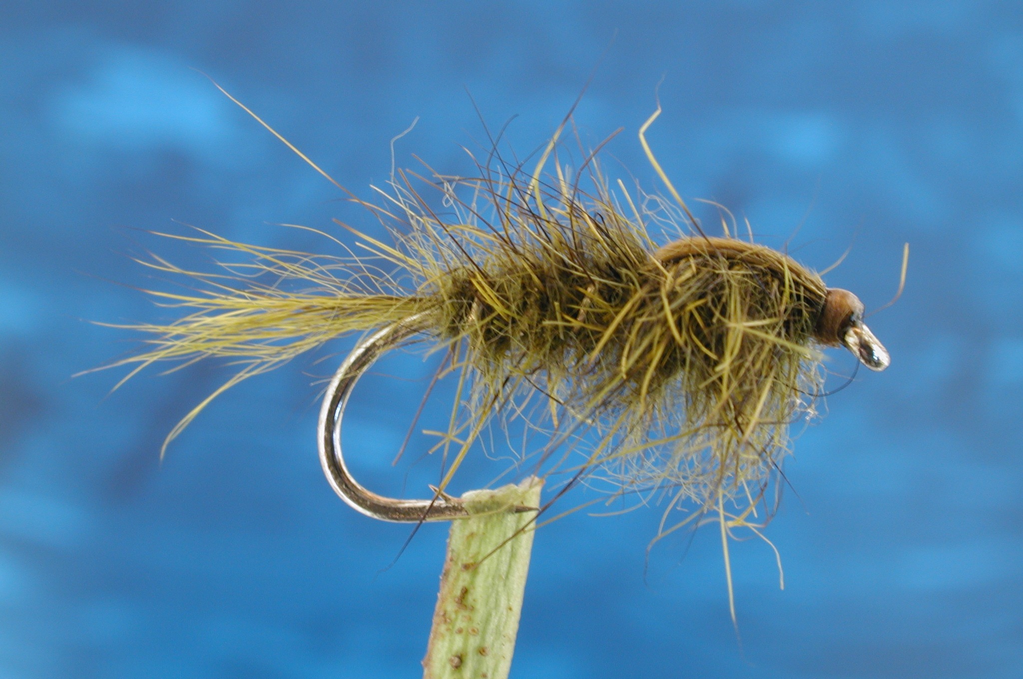 Olive GRHE Nymph