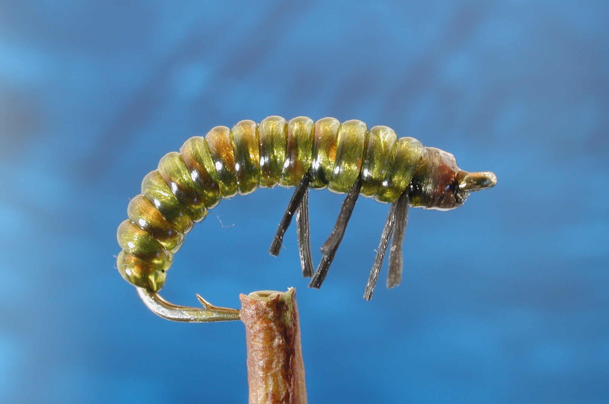 Mandys Caddis Pupa