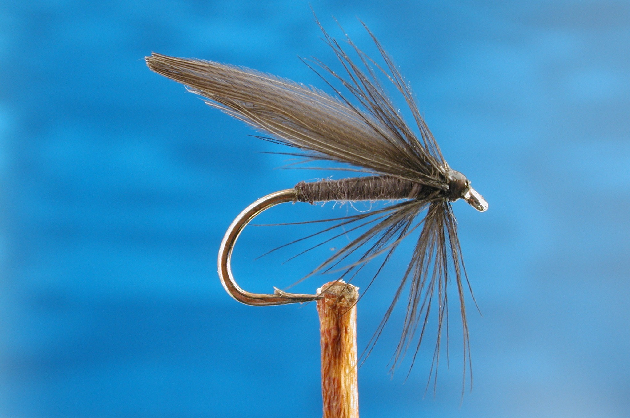 Dark Olive Bloa