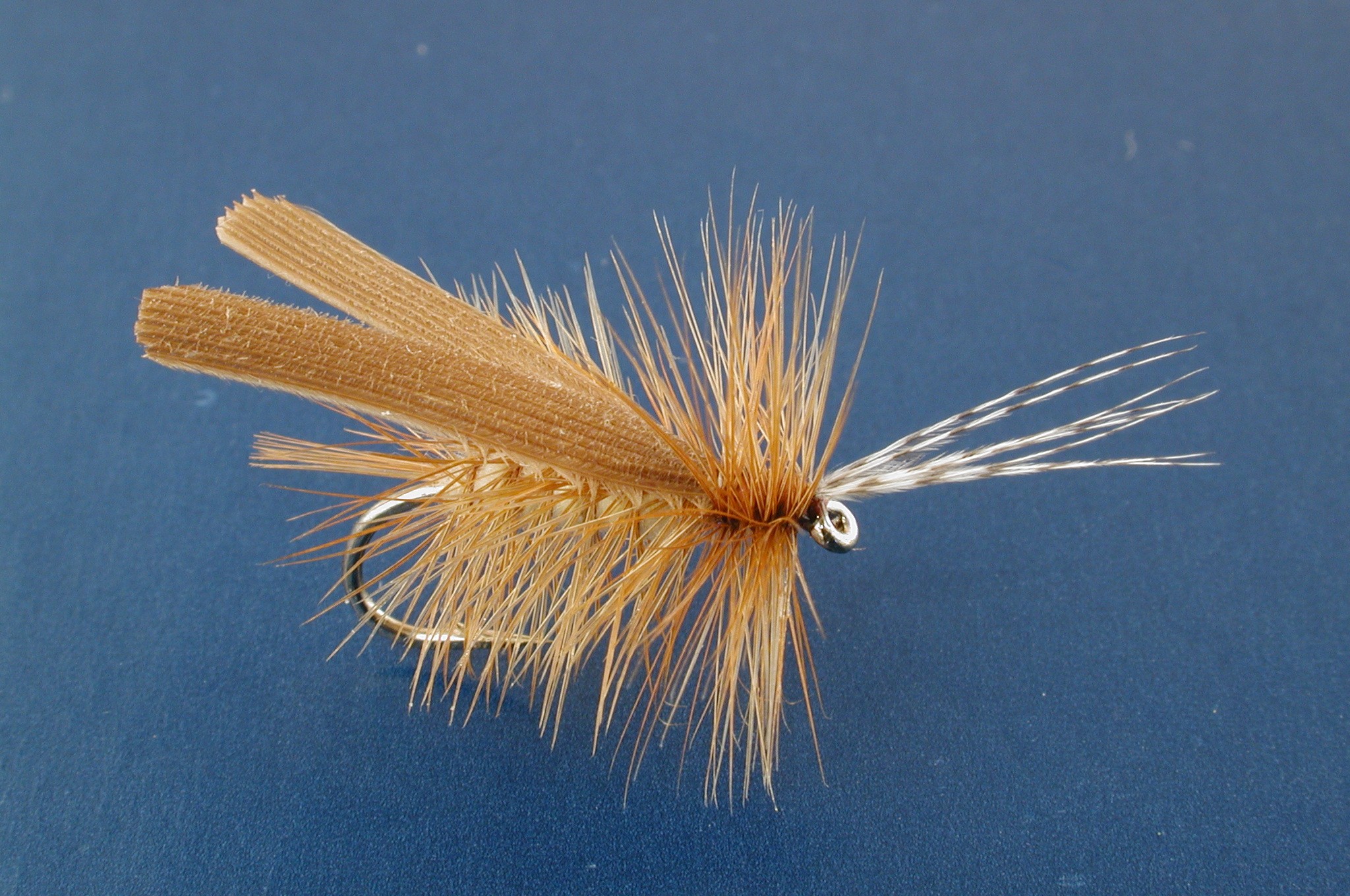 Palus Red Sedge