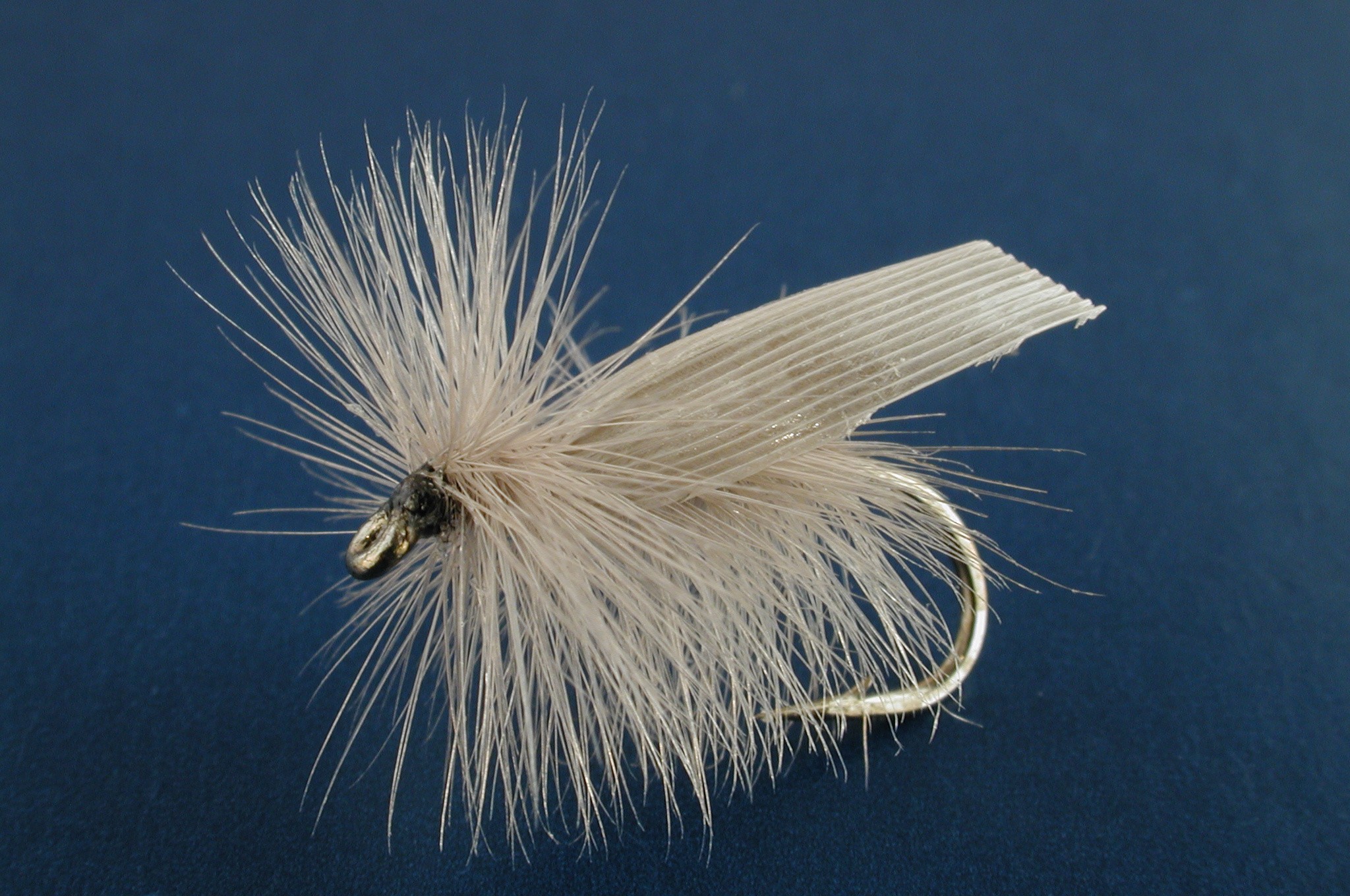Grey Sedge