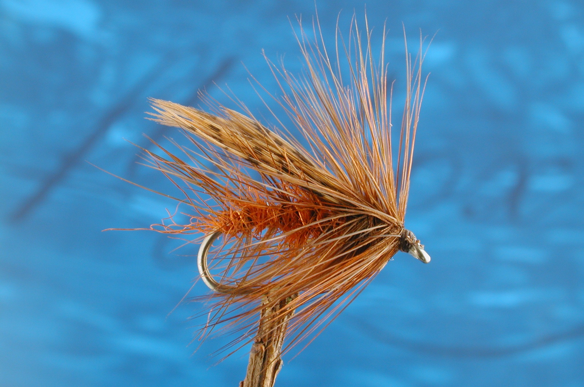 Fiery Murrough