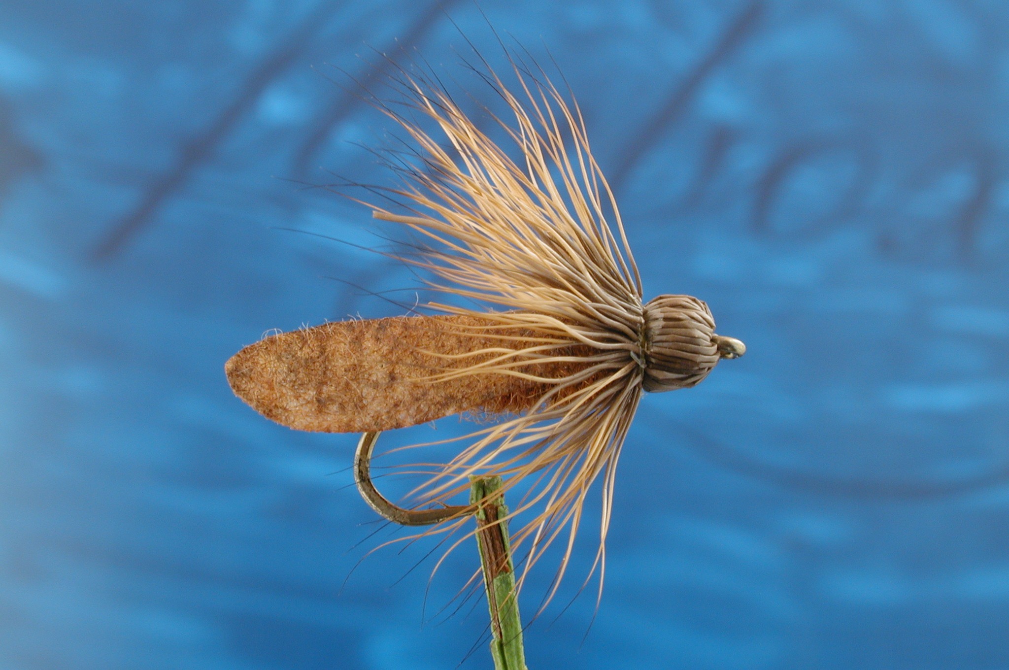 Glendinnings Sedge