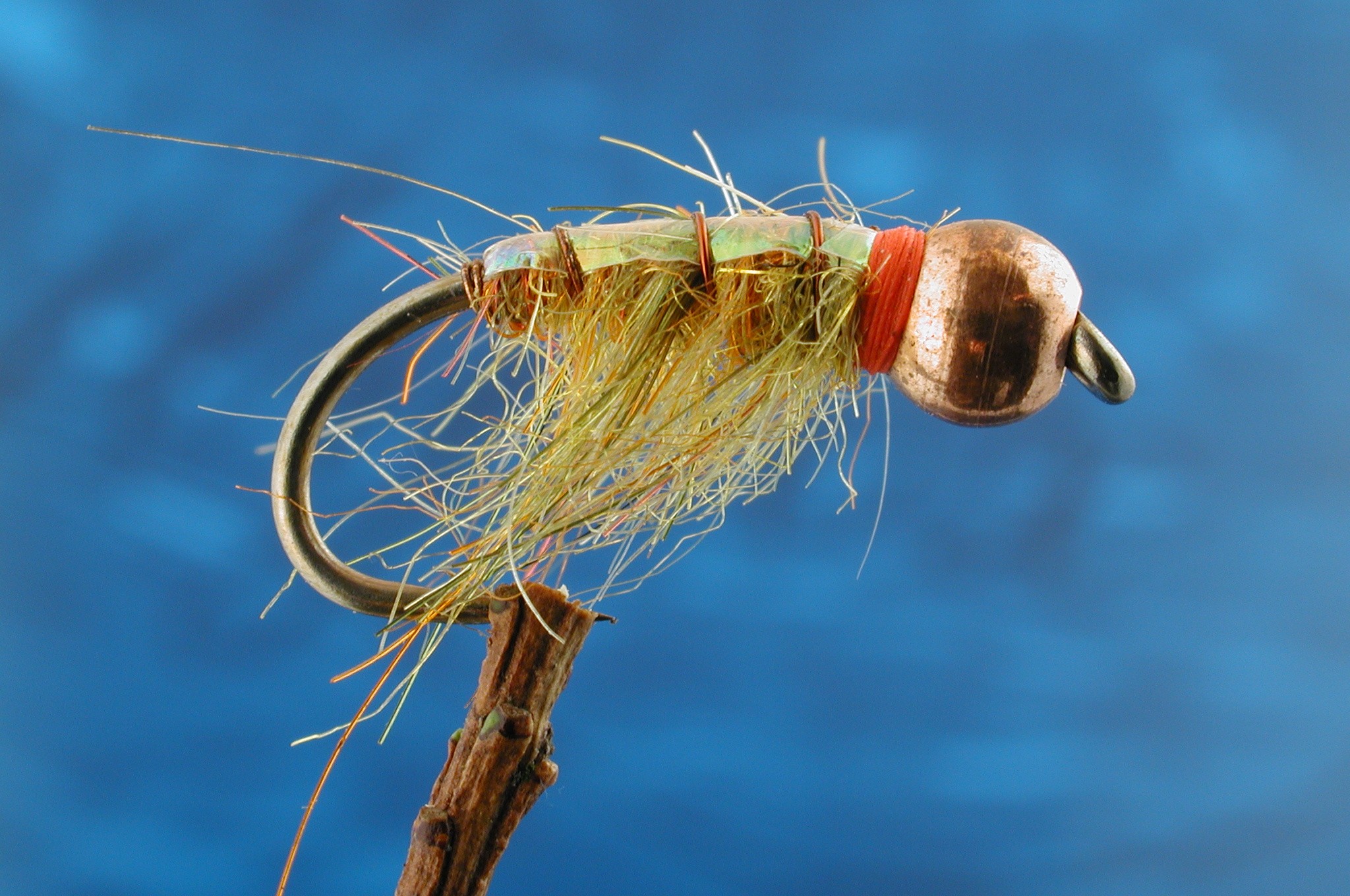 Atomic Shrimp