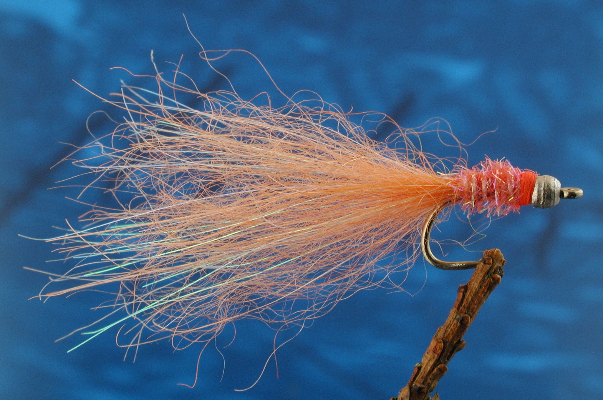 Coral Dart