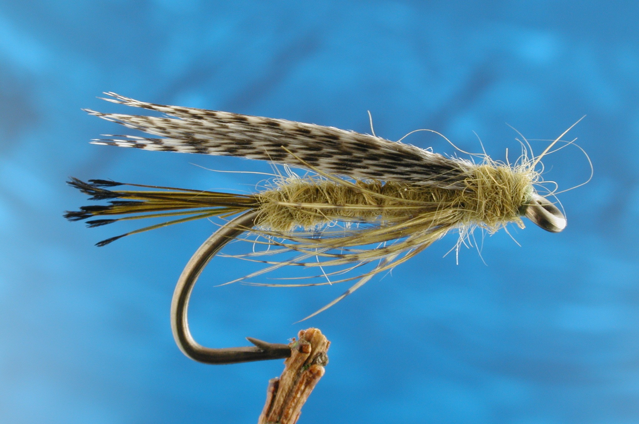 Olive Tuft
