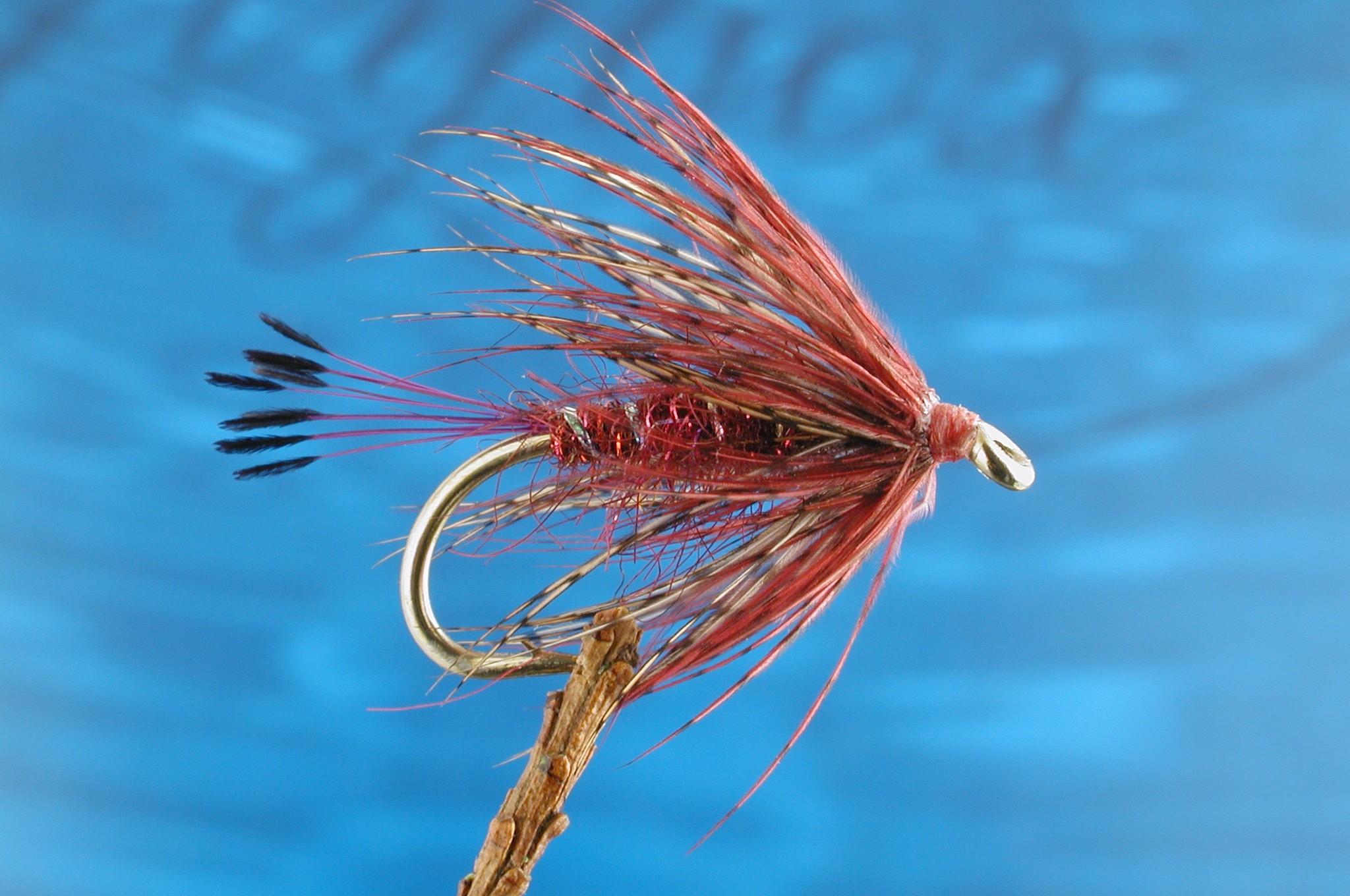 Claret Dibbler