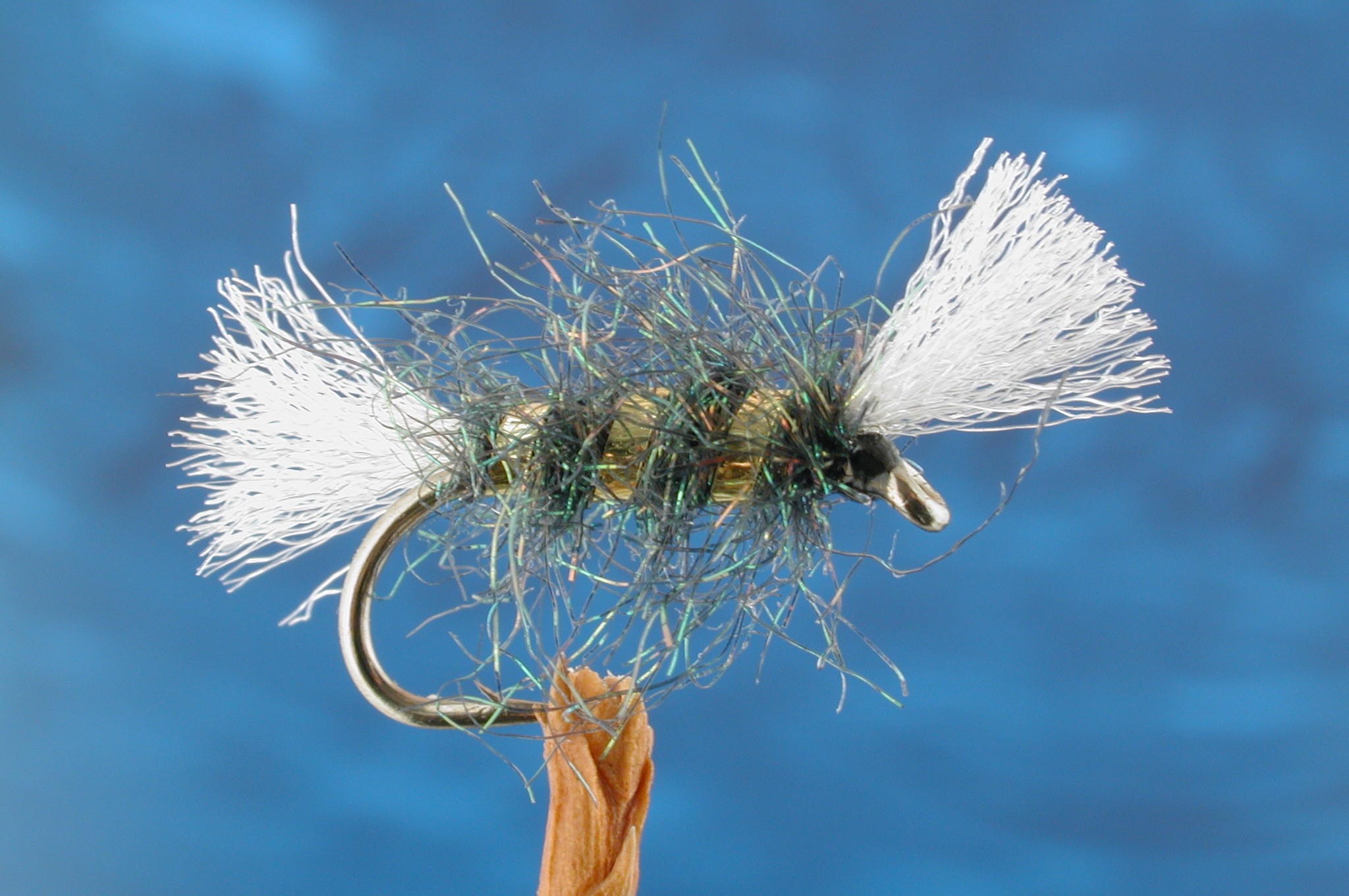 Peacock Shipmans Buzzer