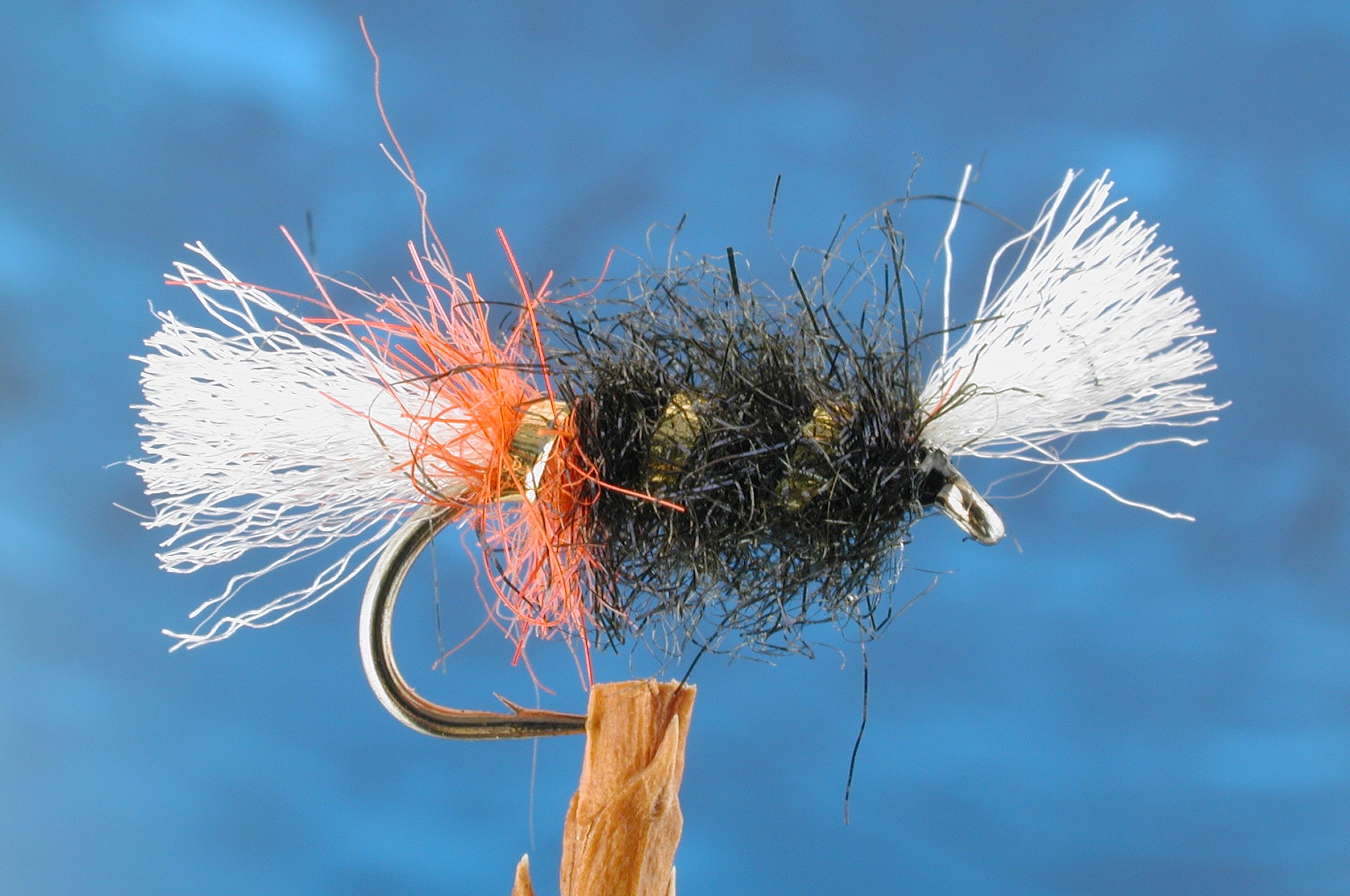 Red-Arsed Shipmans Buzzer