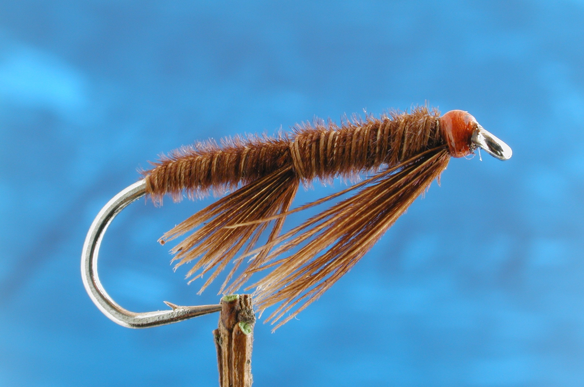 Natural Teeny Nymph
