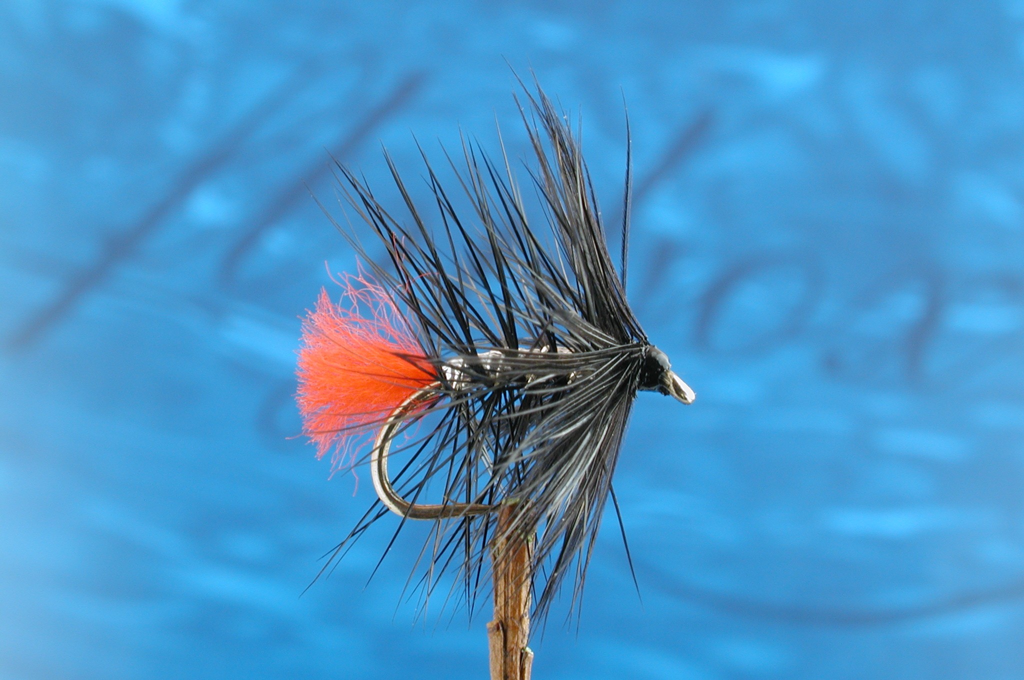 Silver Zulu