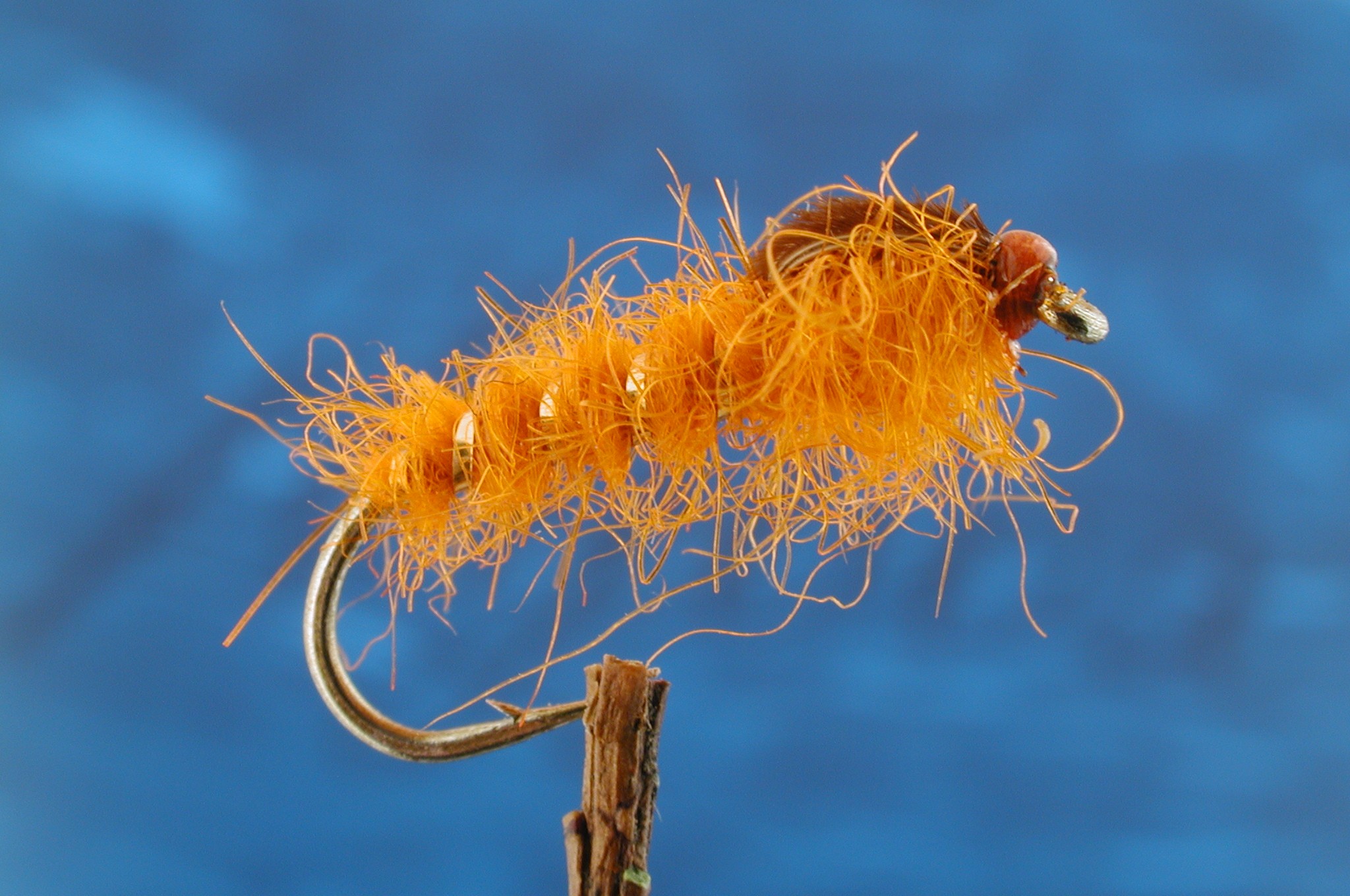 Coves Orange Nymph