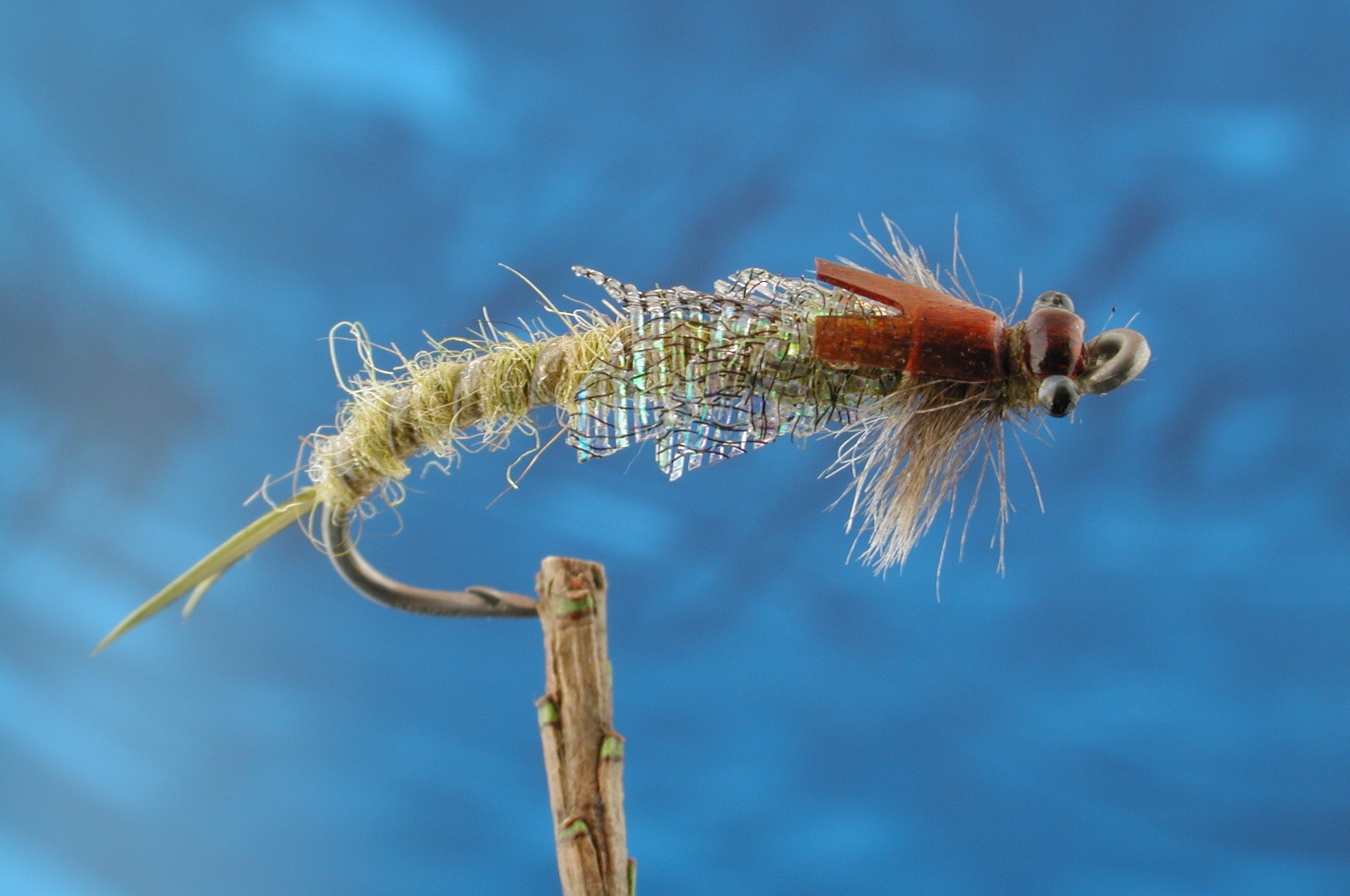Lace Nymph