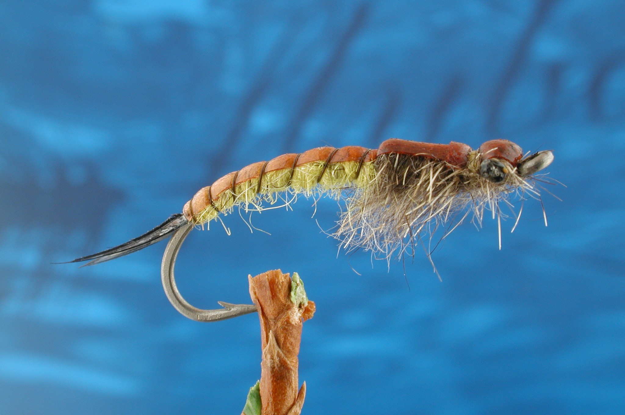 Late Night Nymph