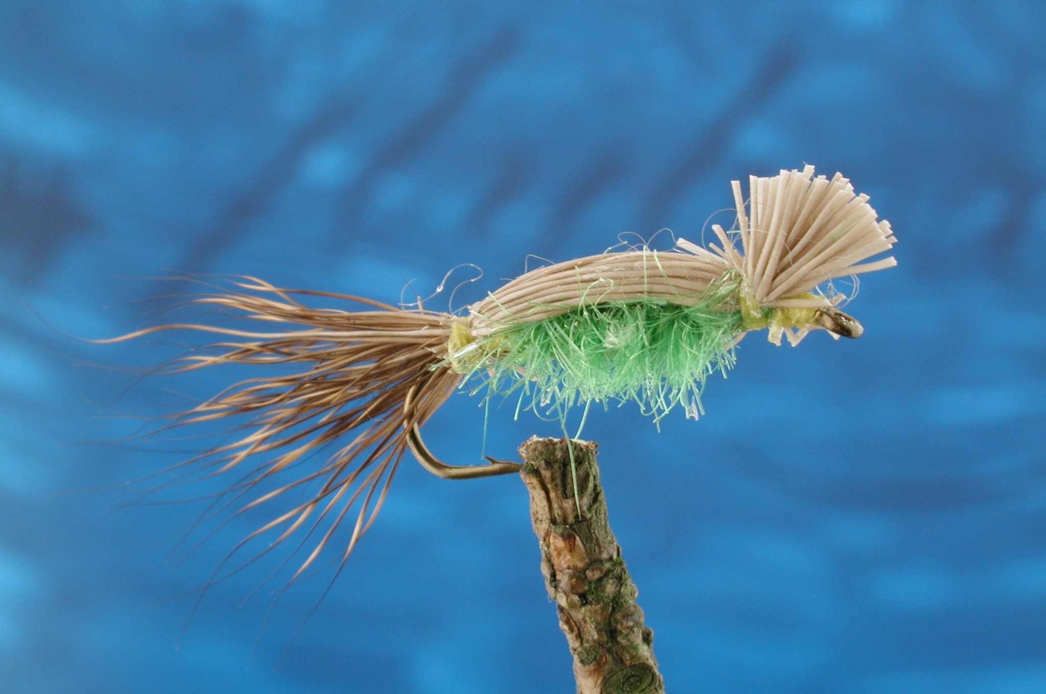 Cooper Bug