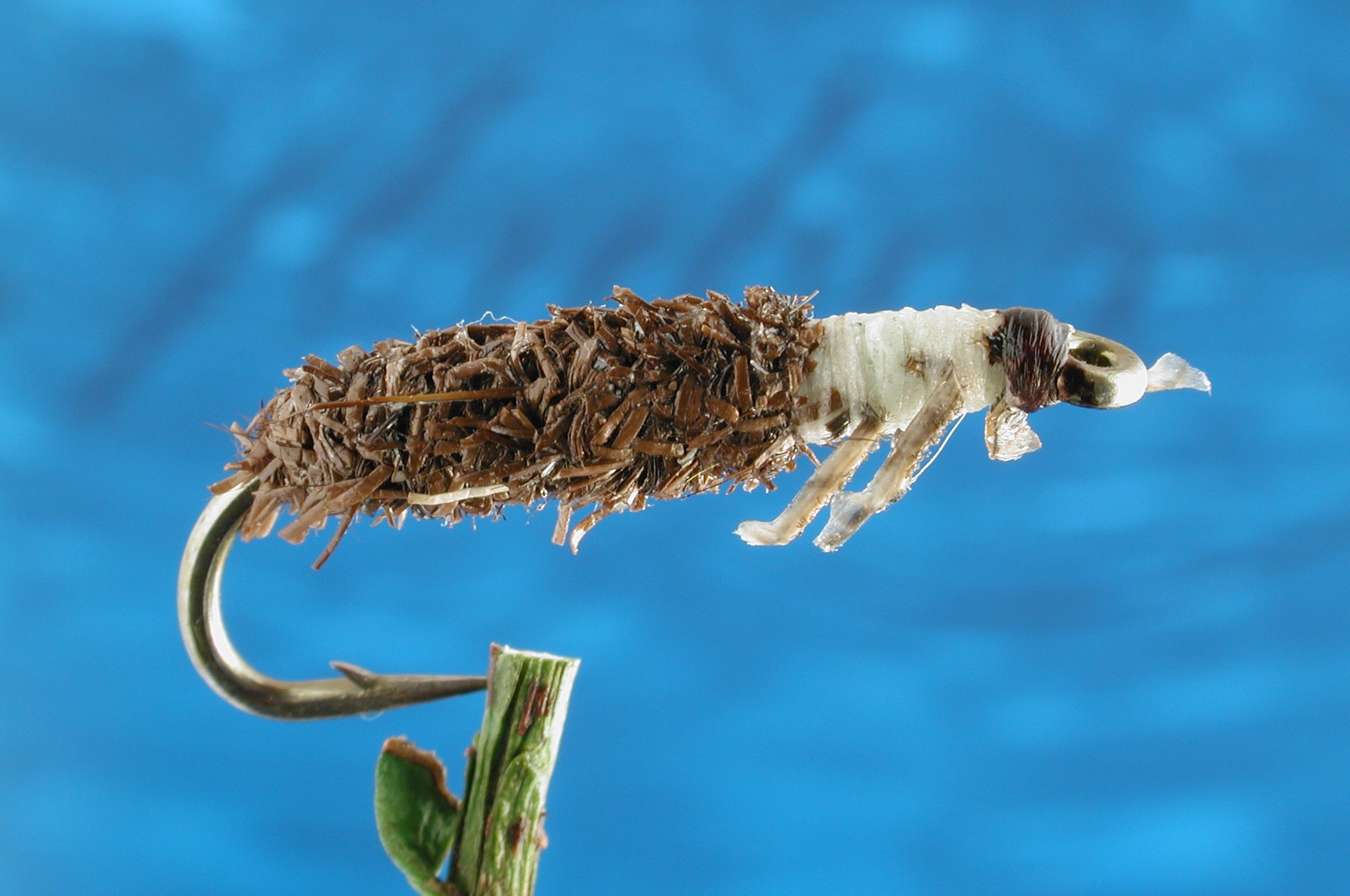 Brown Cased Caddis