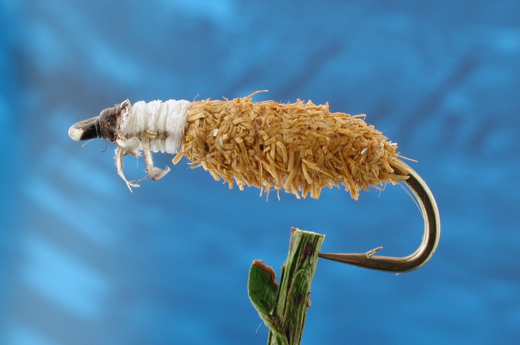 Ginger Cased Caddis