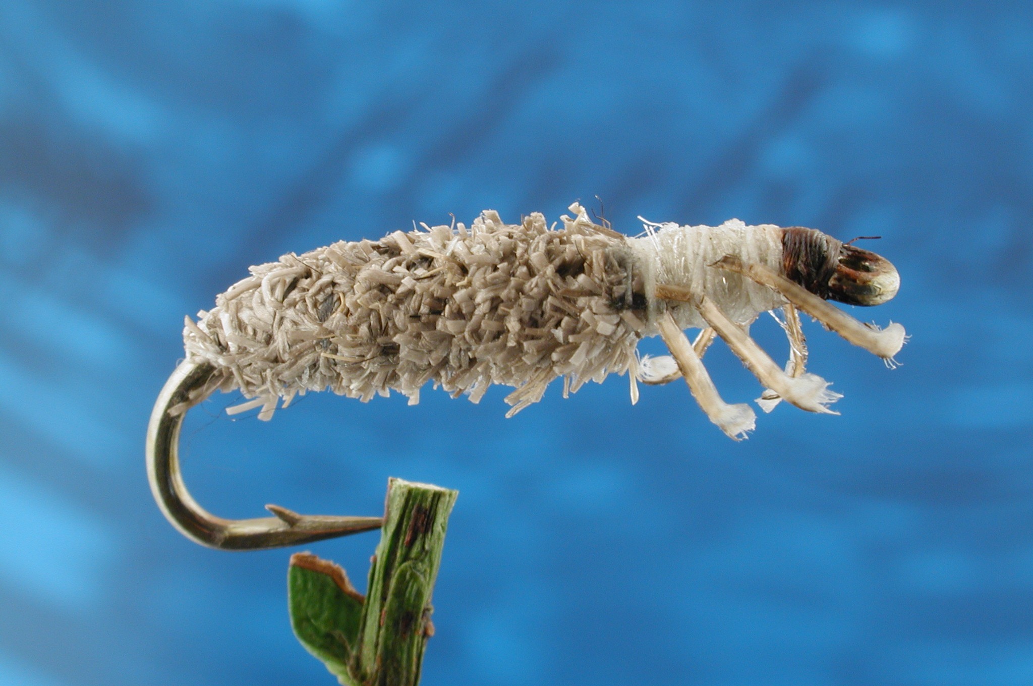 Grey Cased Caddis