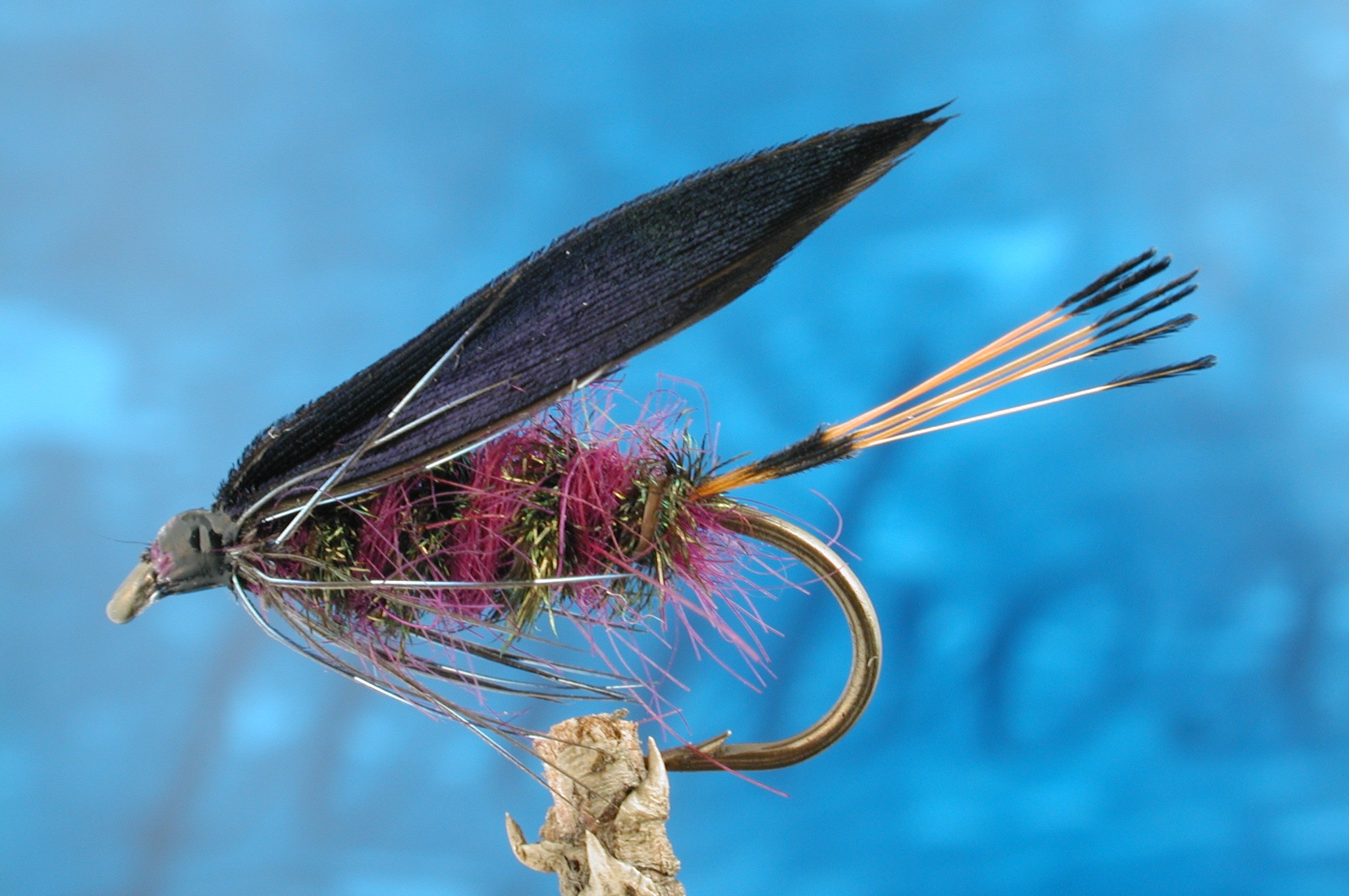 Purple Gorbenmac