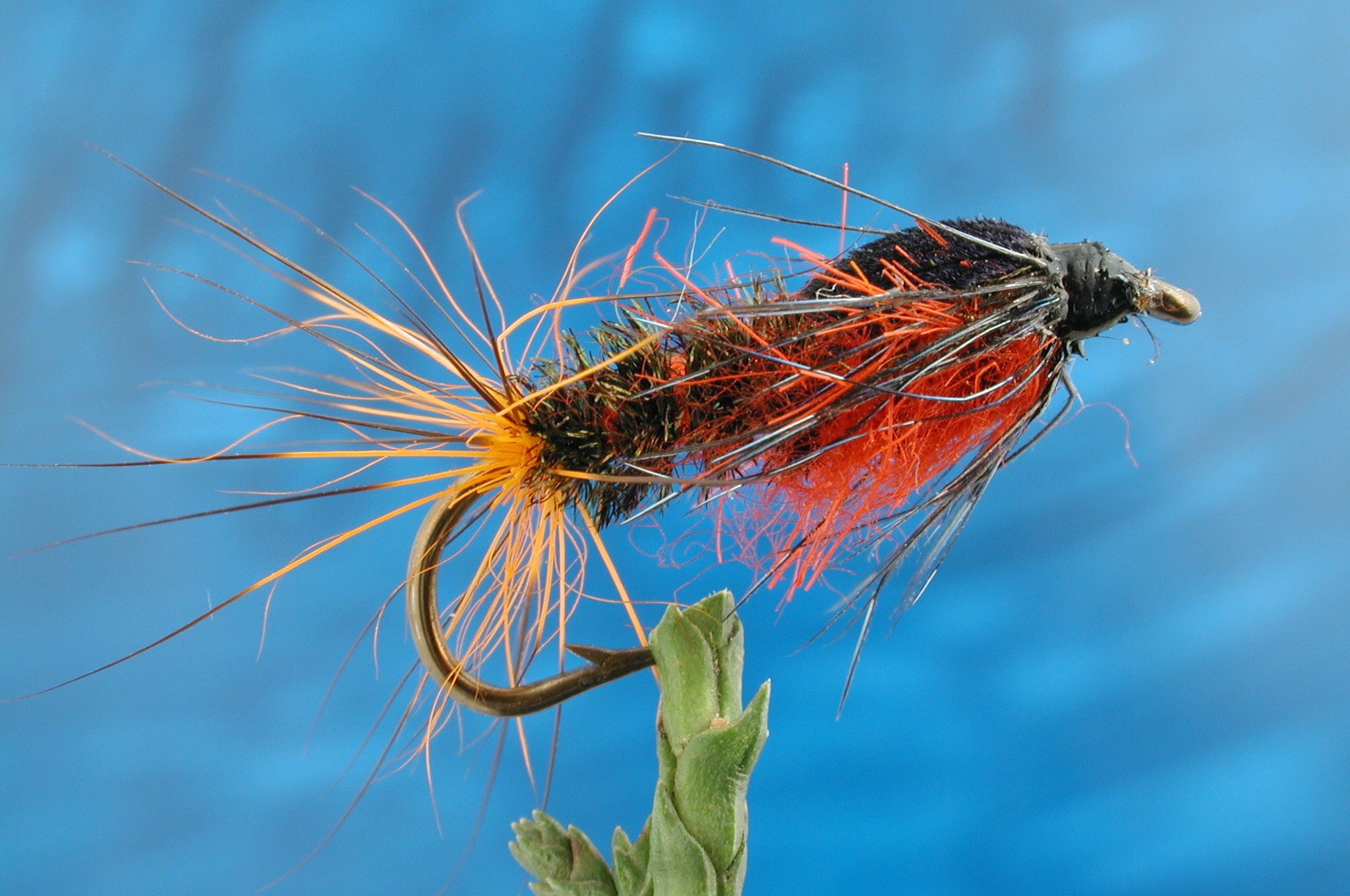 Red Gorbenmac Nymph